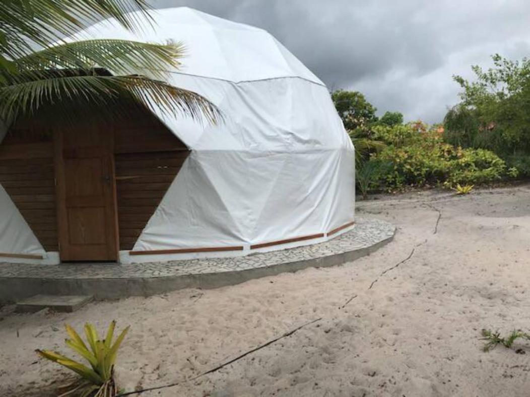 Geodesic Tent photo 3