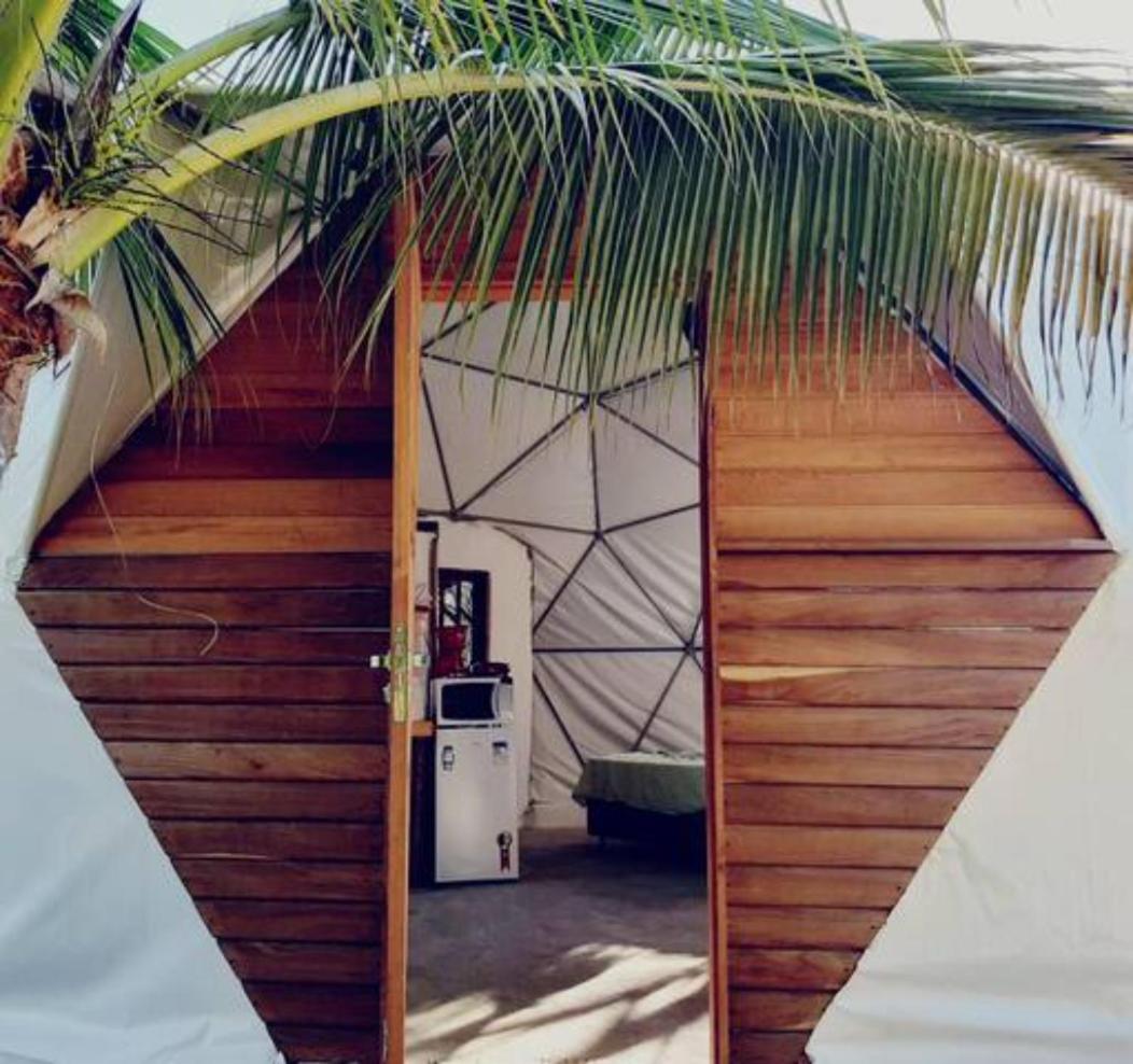 Geodesic Tent photo 1