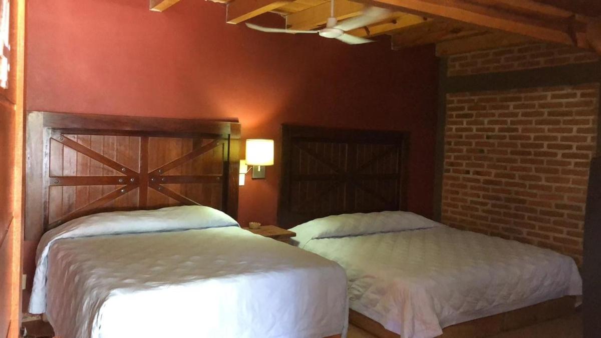 Twin Room photo 1