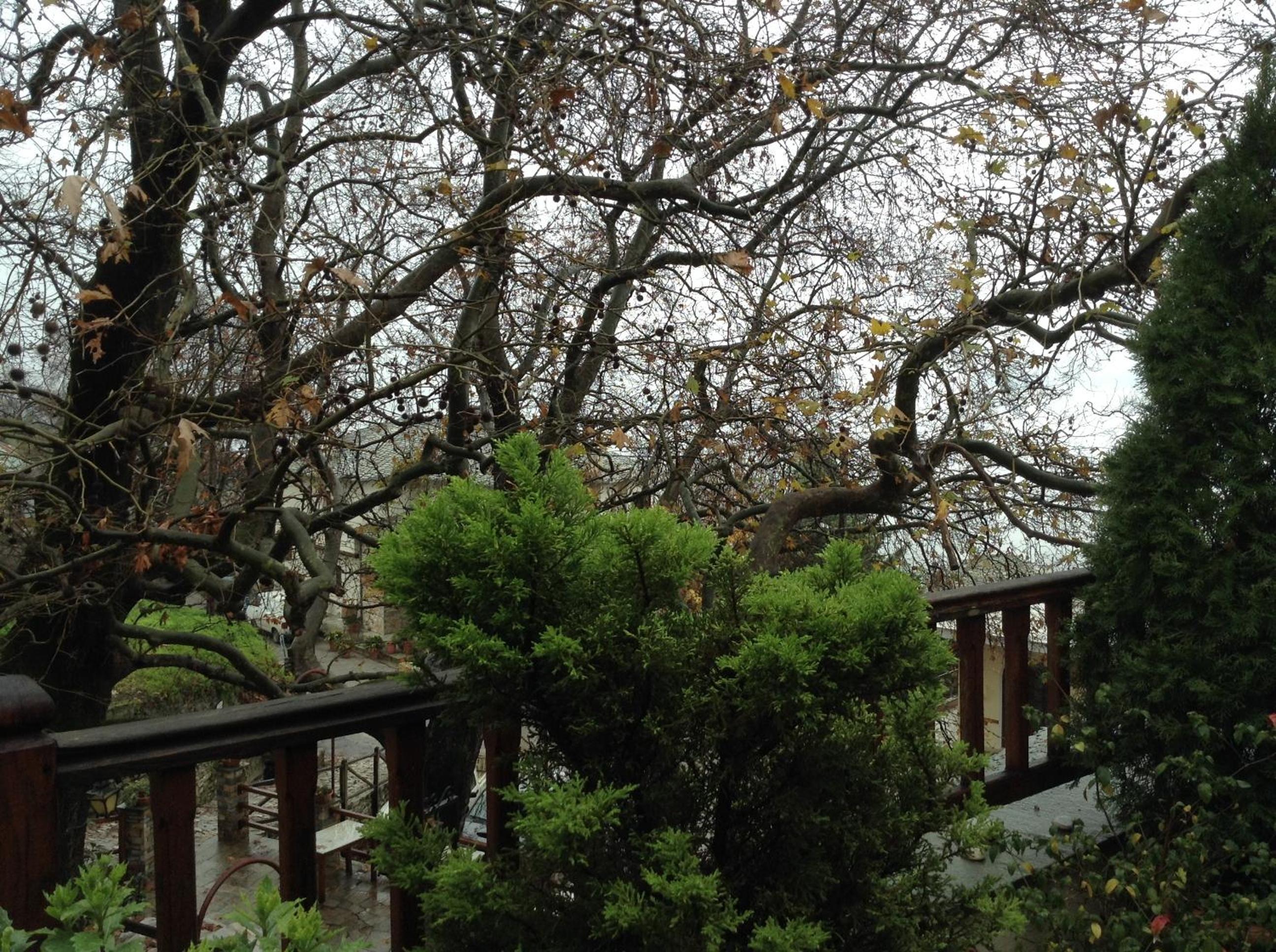 Double Room with Terrace photo 2