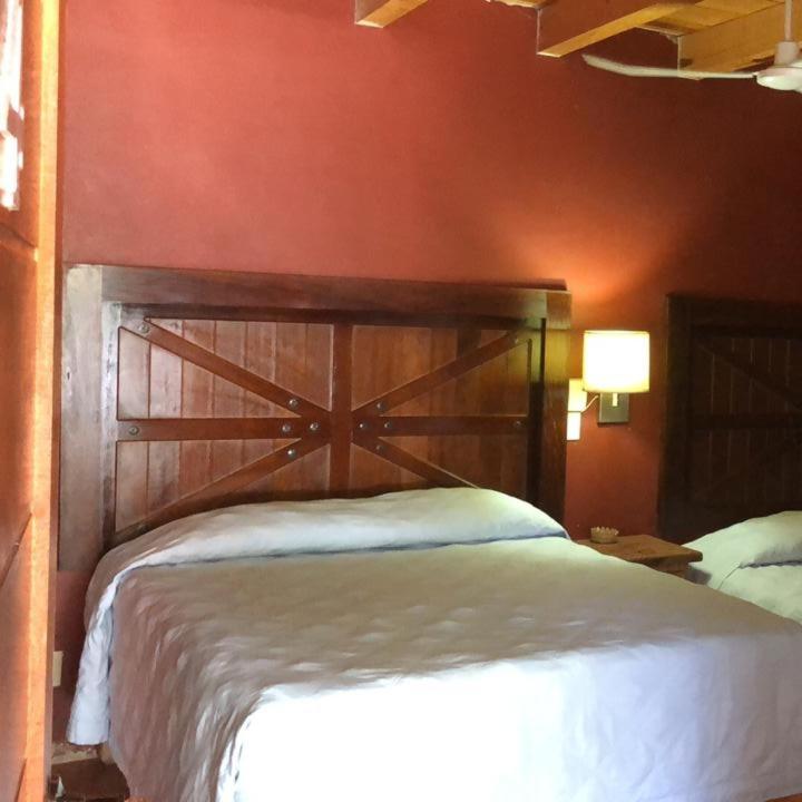 Deluxe Double or Twin Room photo 1