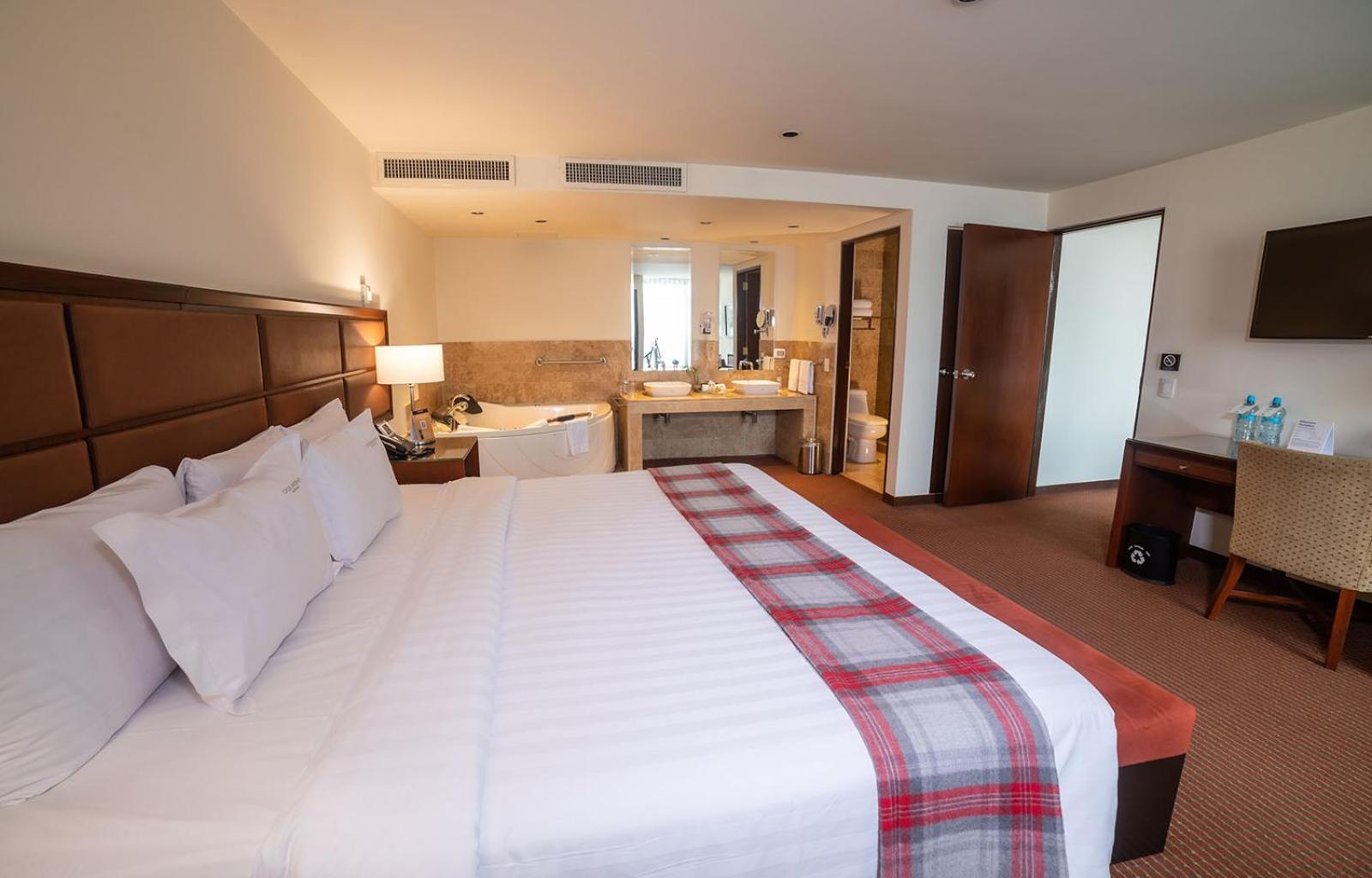 Superior Suite - Photo 7