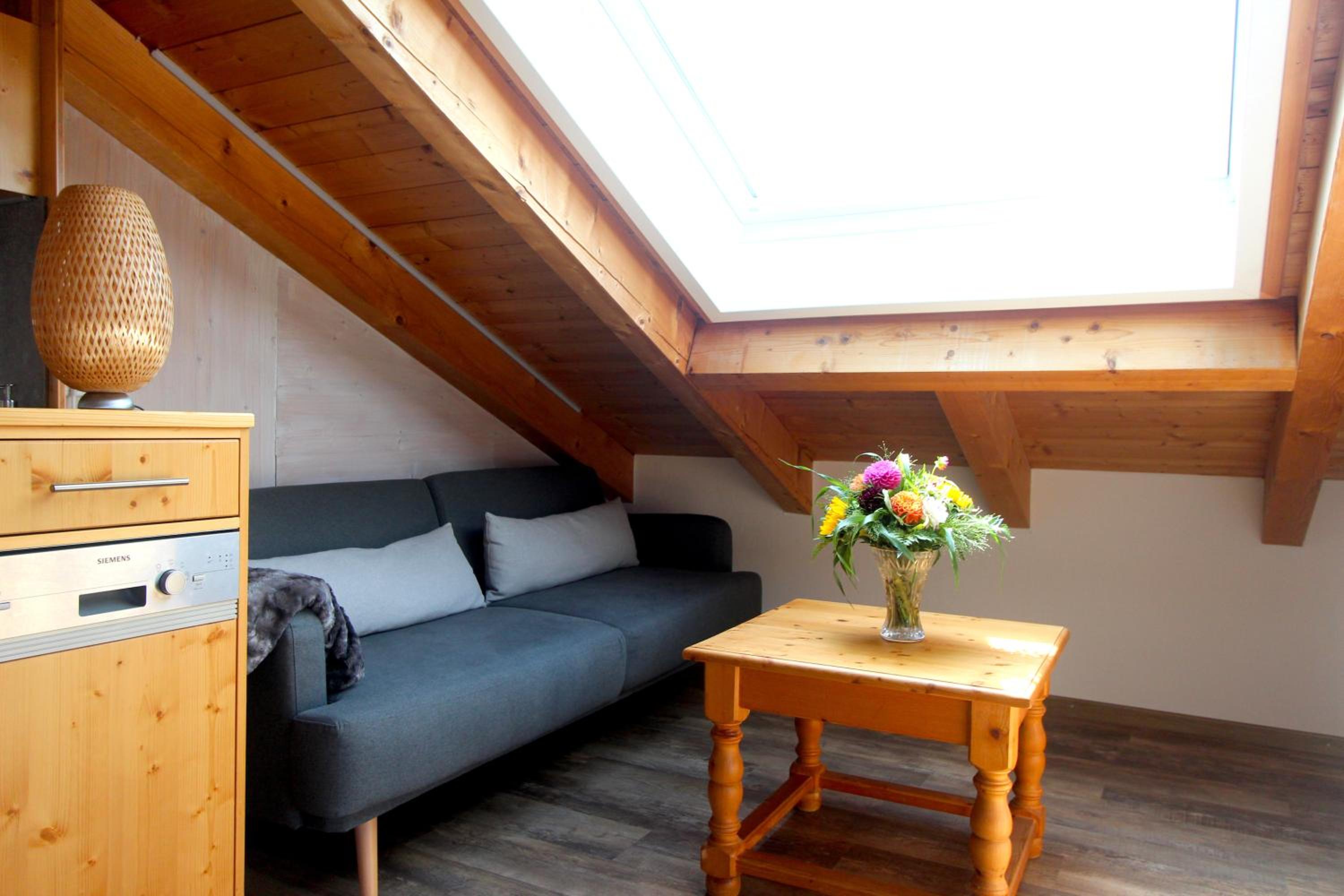 Apartment with Mountain View photo 1
