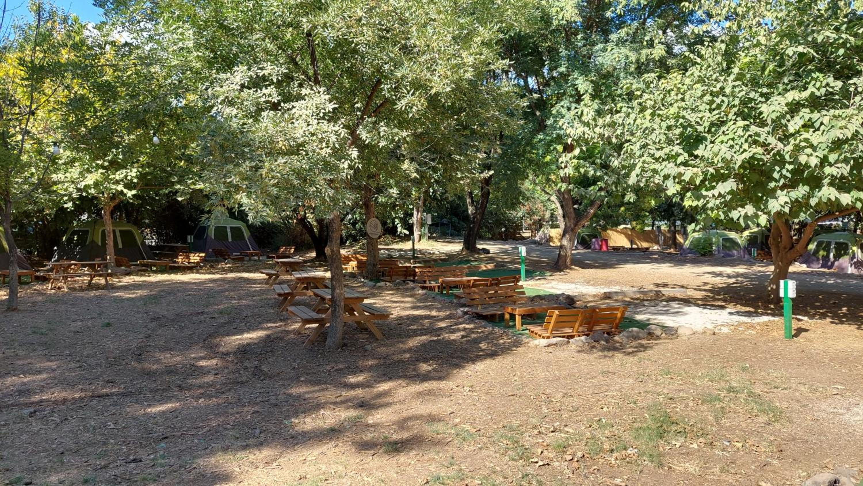 Empty Spot for Campers - Photo 6