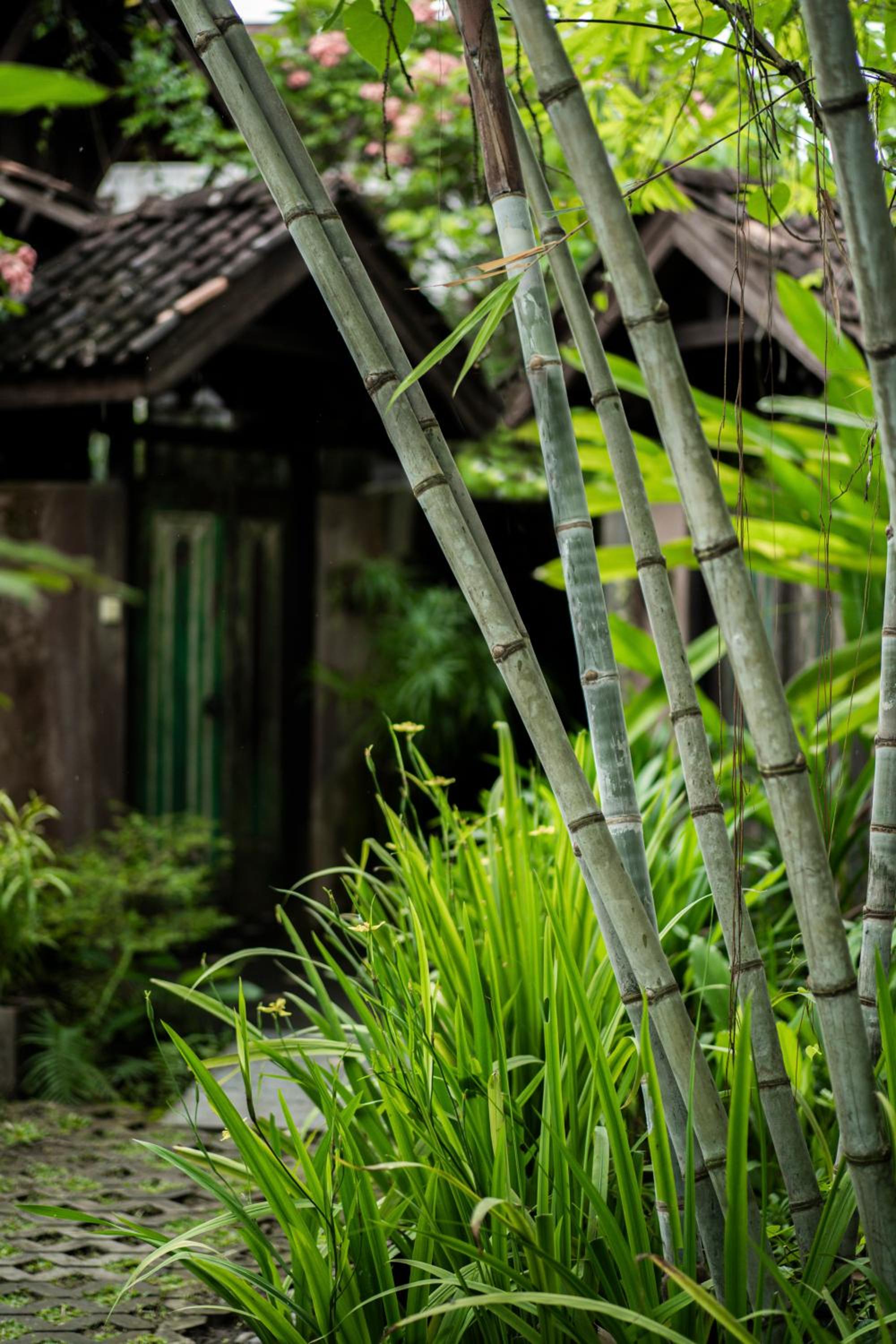 Three-Bedroom Bungalow - Photo 9
