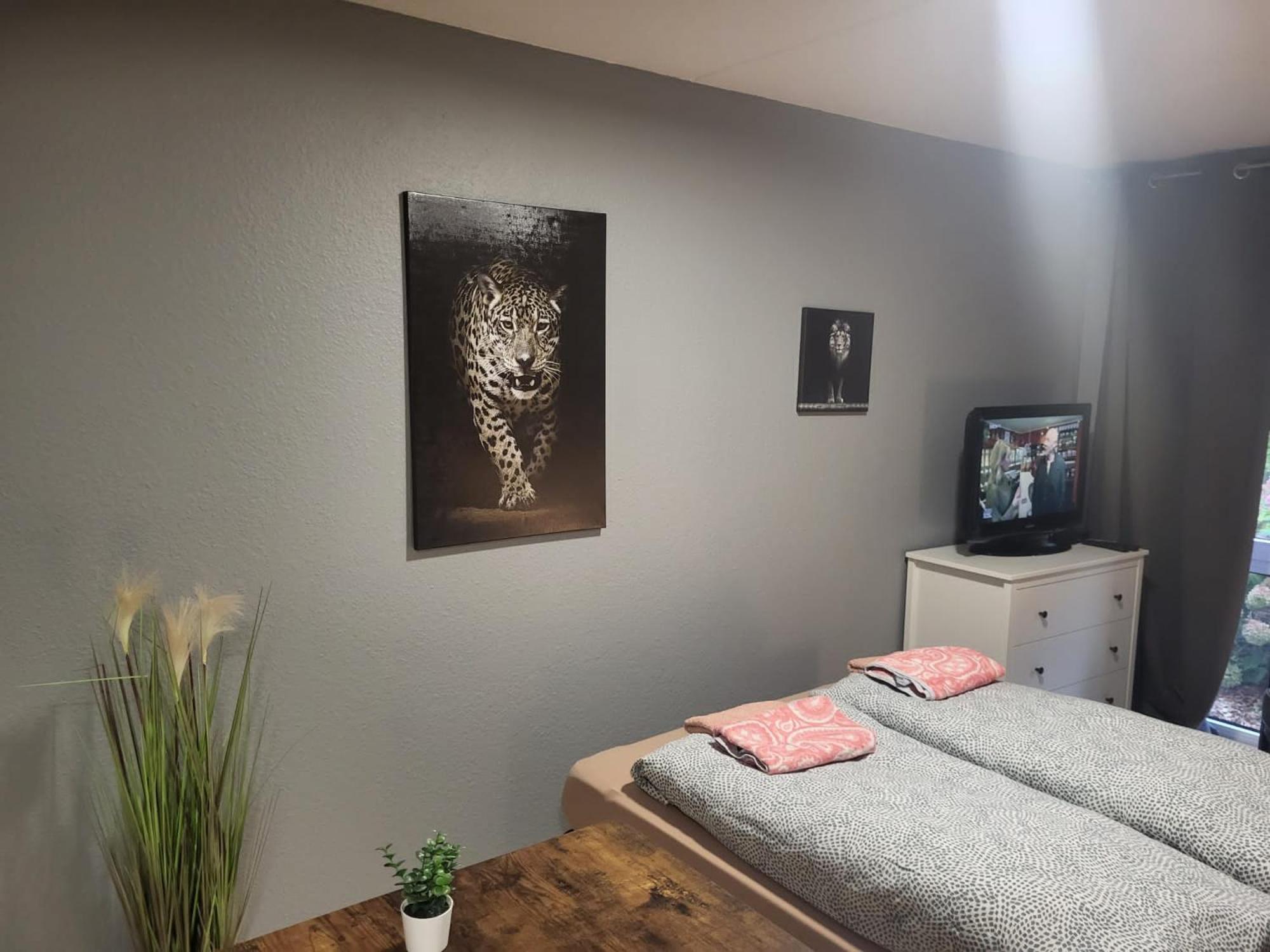 One-Bedroom Apartment photo 2