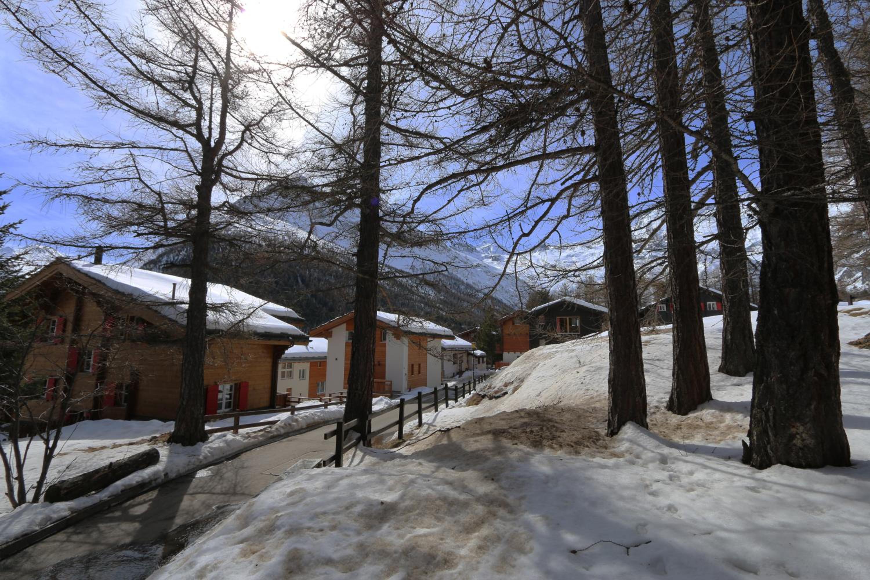 One-Bedroom Chalet photo 3