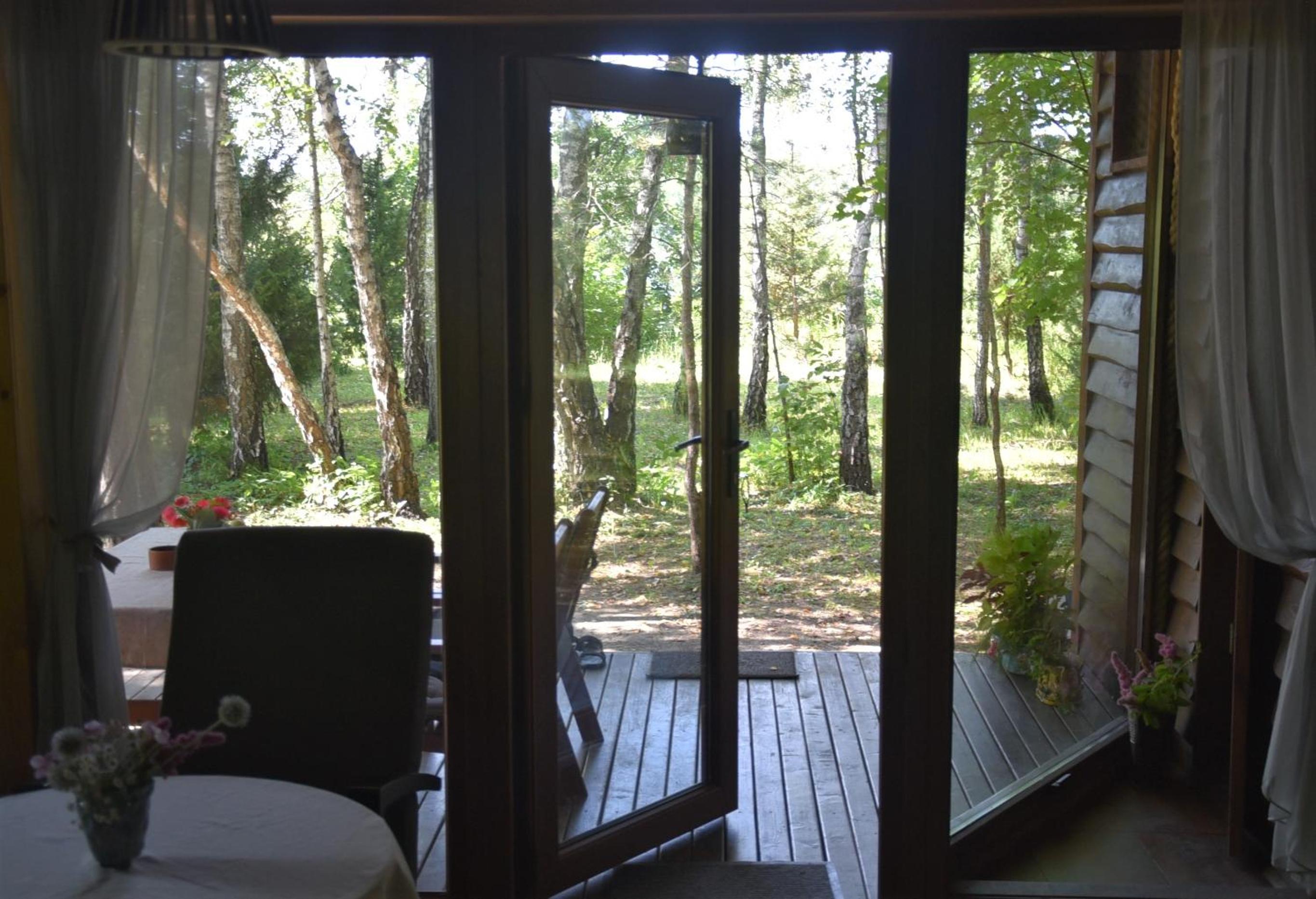 Family Room with Terrace photo 1