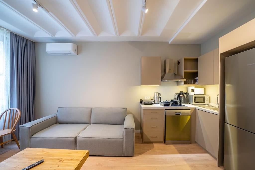 One-Bedroom Apartment photo 3