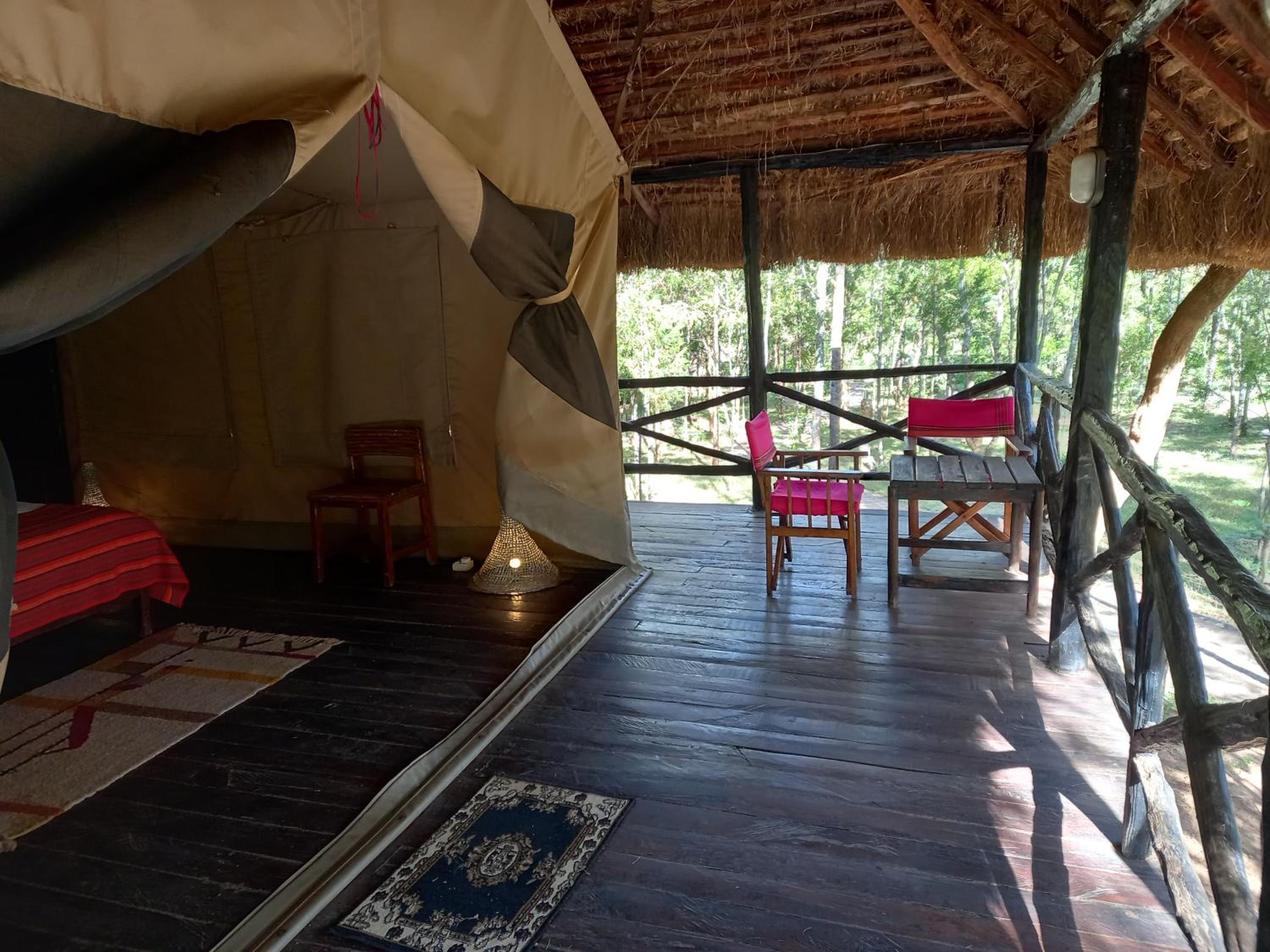 Tent photo 3