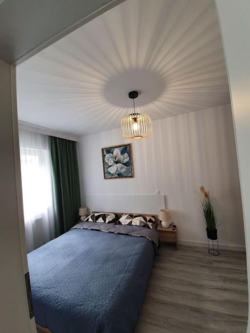 One-Bedroom Apartment - Photo 8