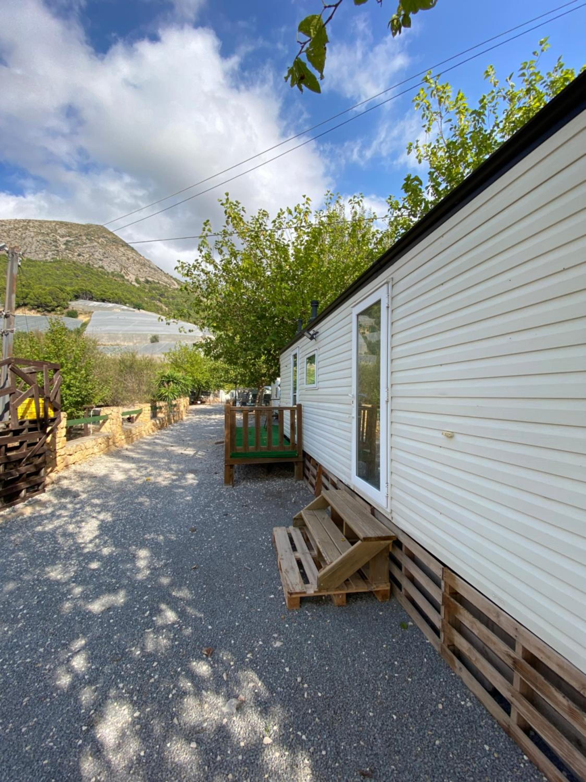 Family Bungalow photo 2