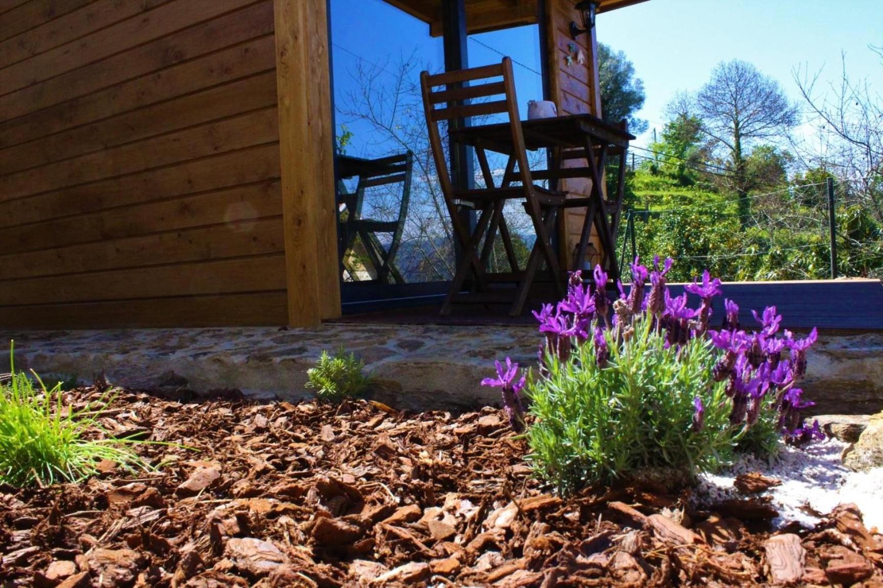 One-Bedroom Chalet photo 3