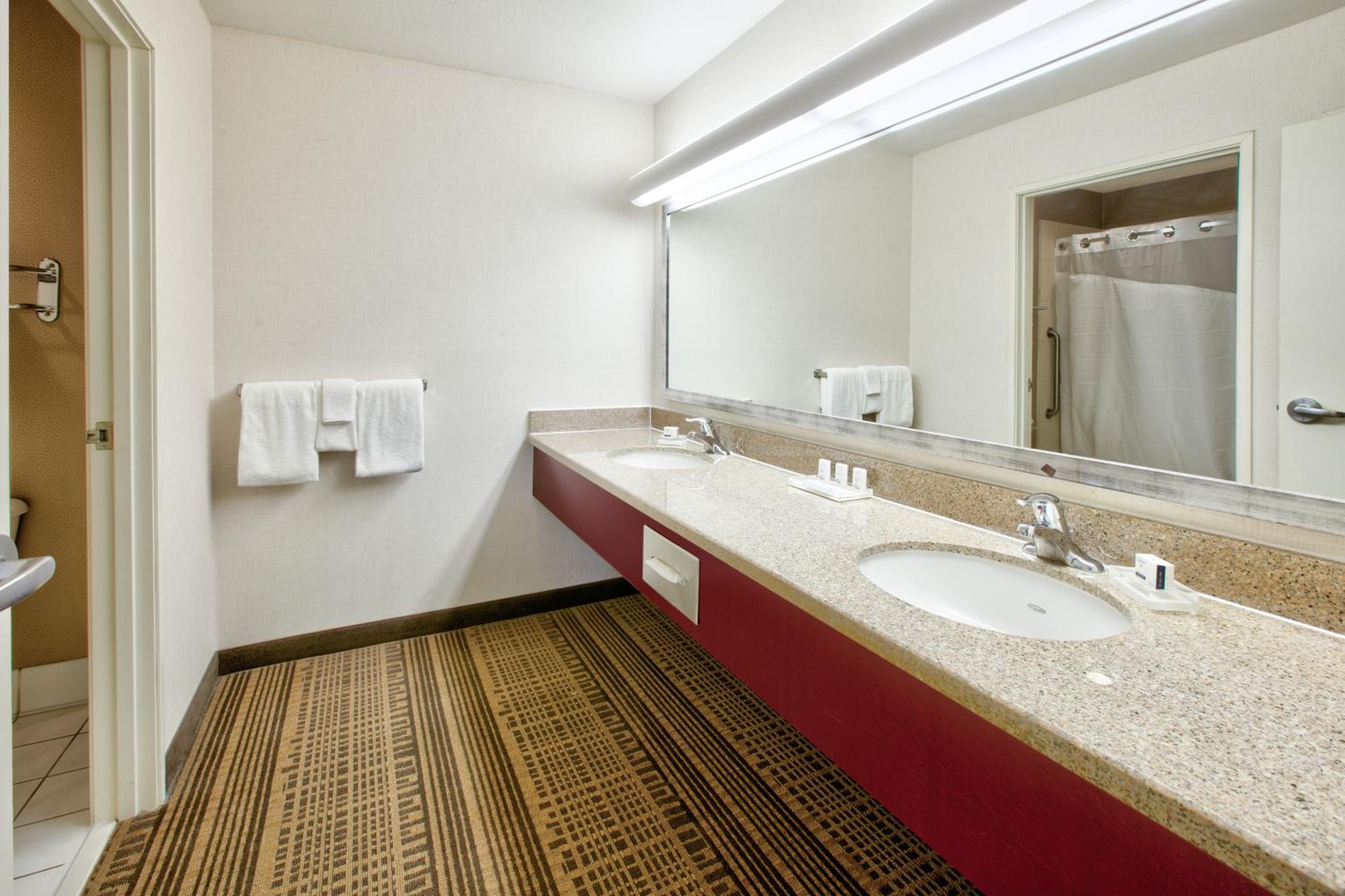 One-Bedroom King Suite - Photo 12