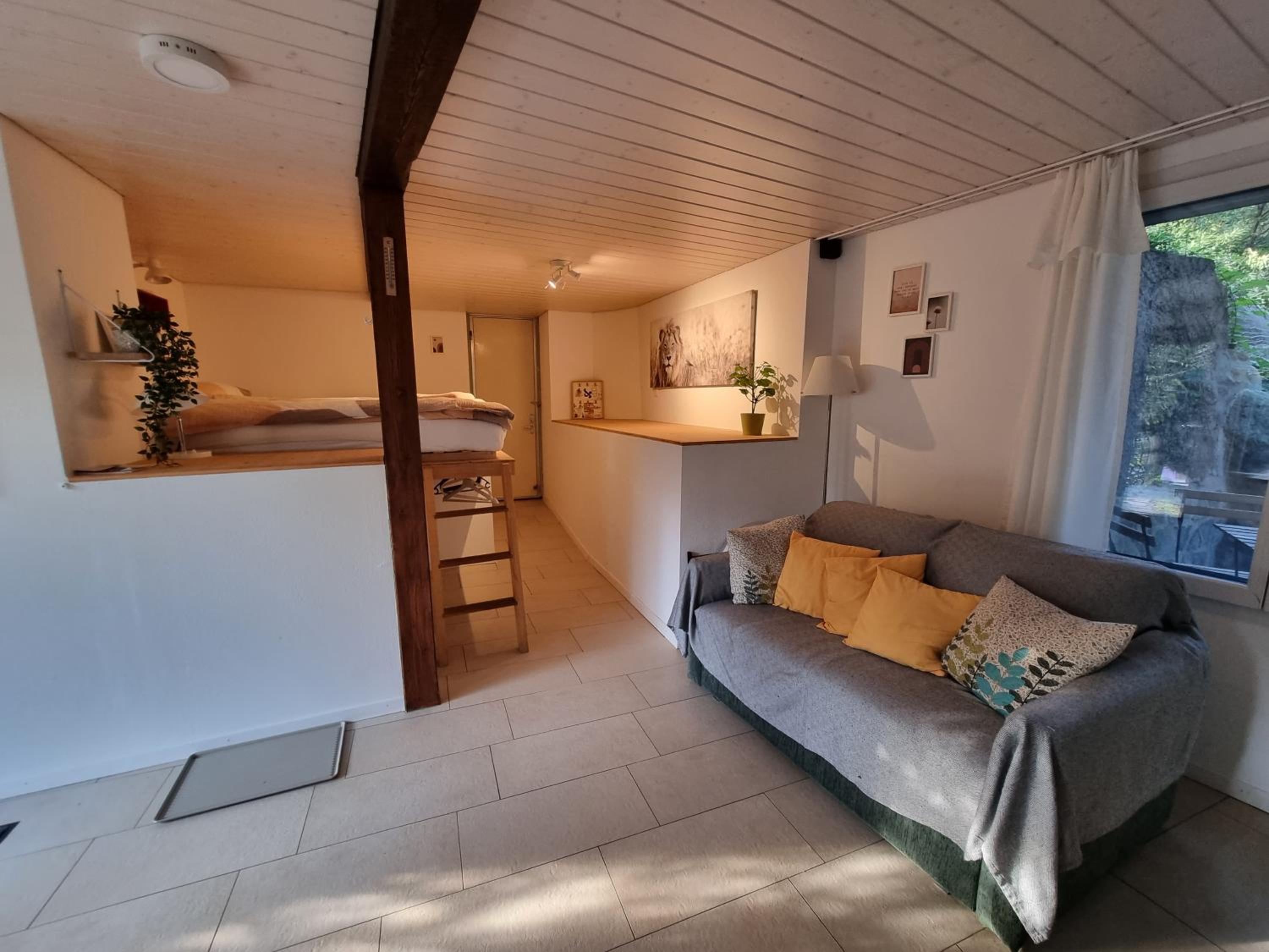 Studio with Terrace photo 1