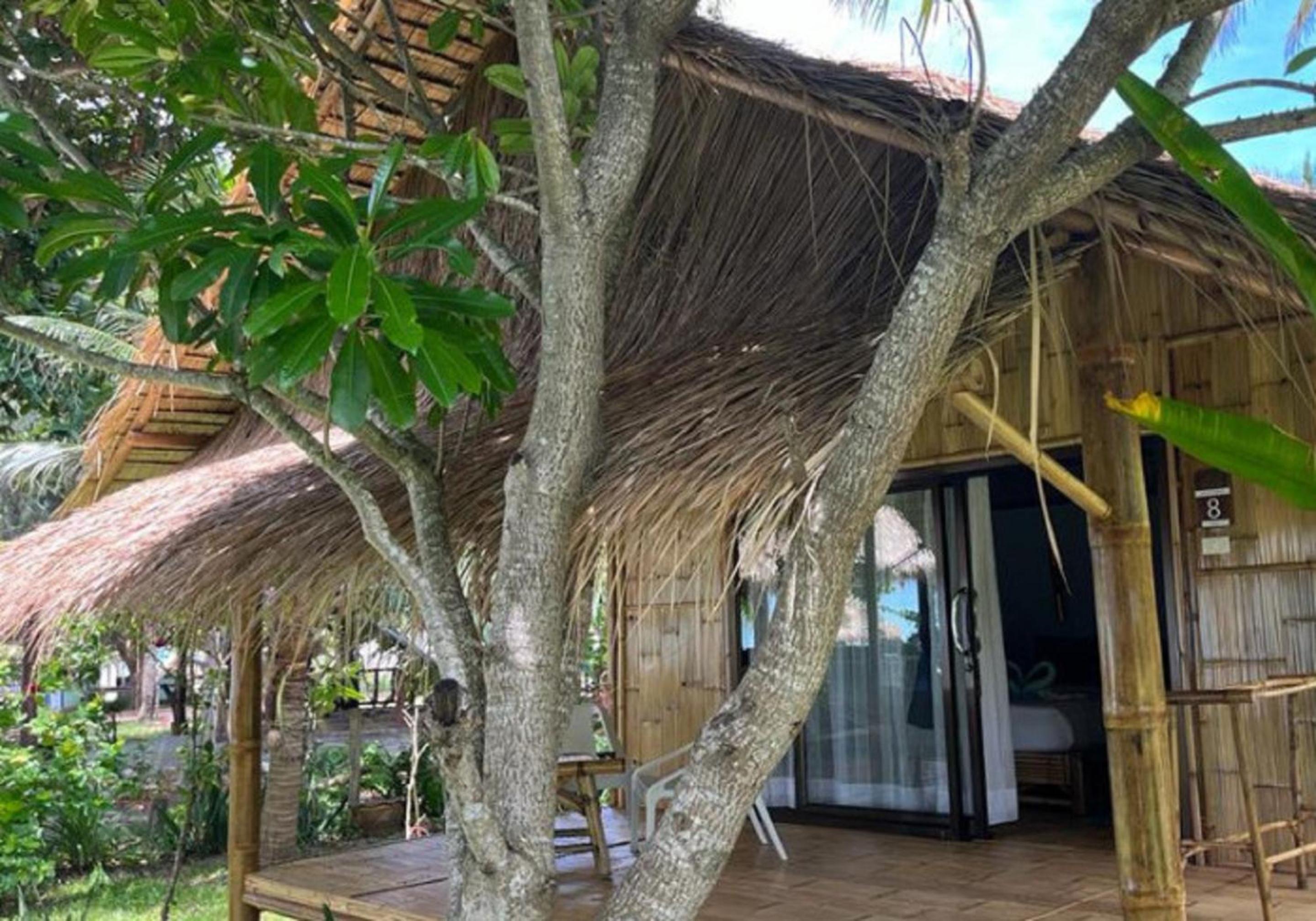 Bungalow with Sea View - Photo 10