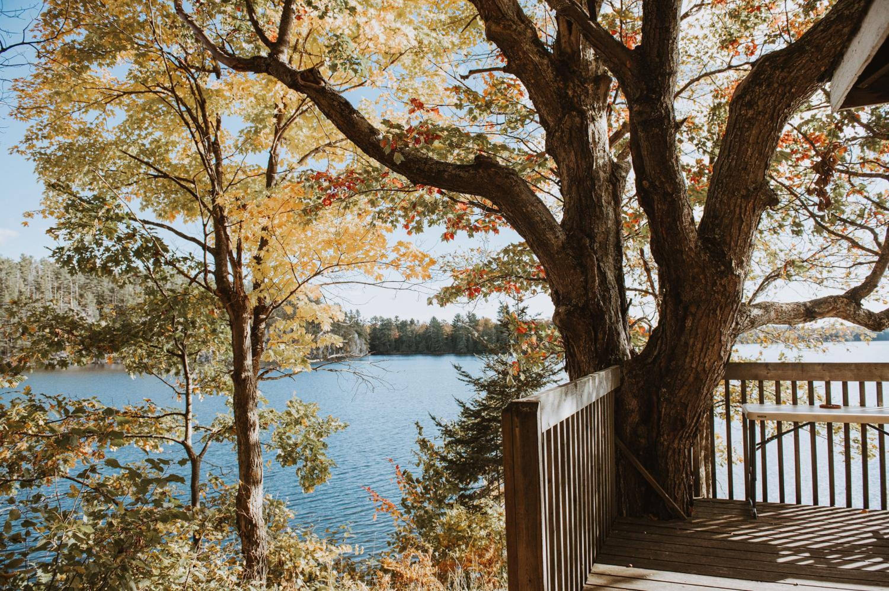Cottage photo 3