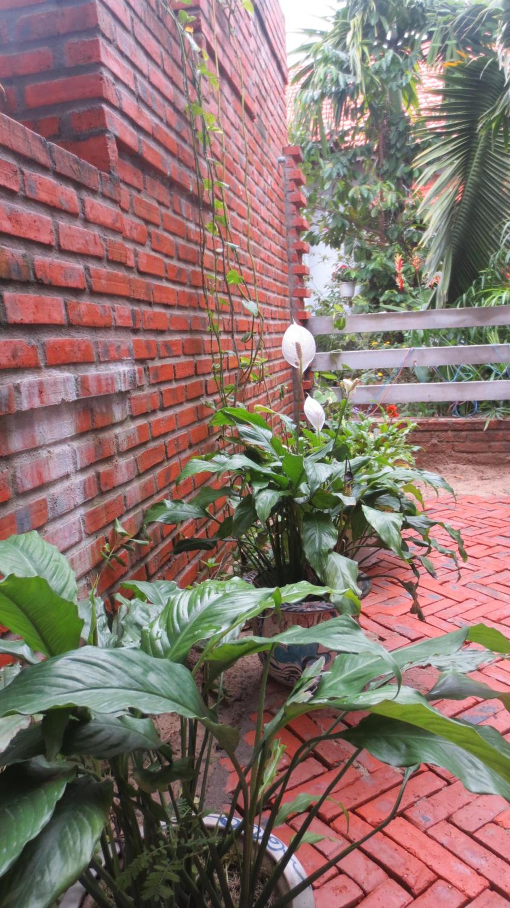 Double Room with Garden View photo 2