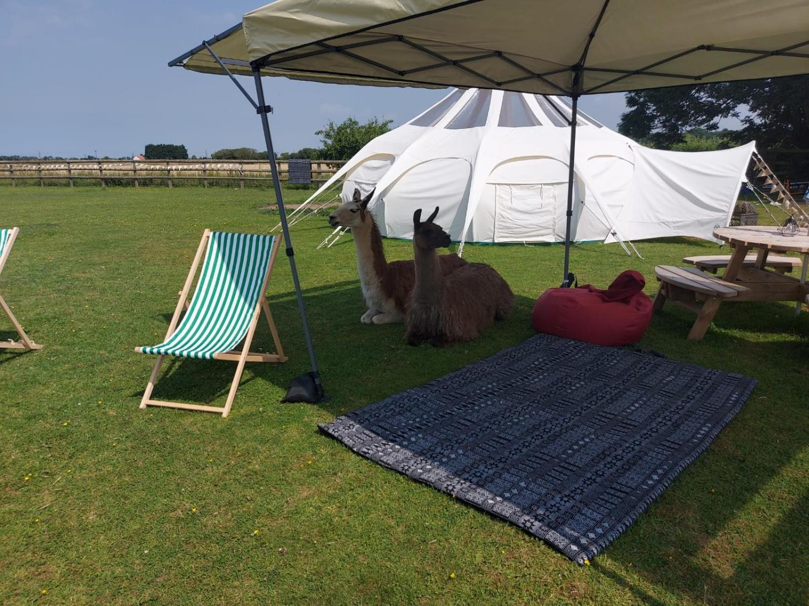 Tent - Photo 8