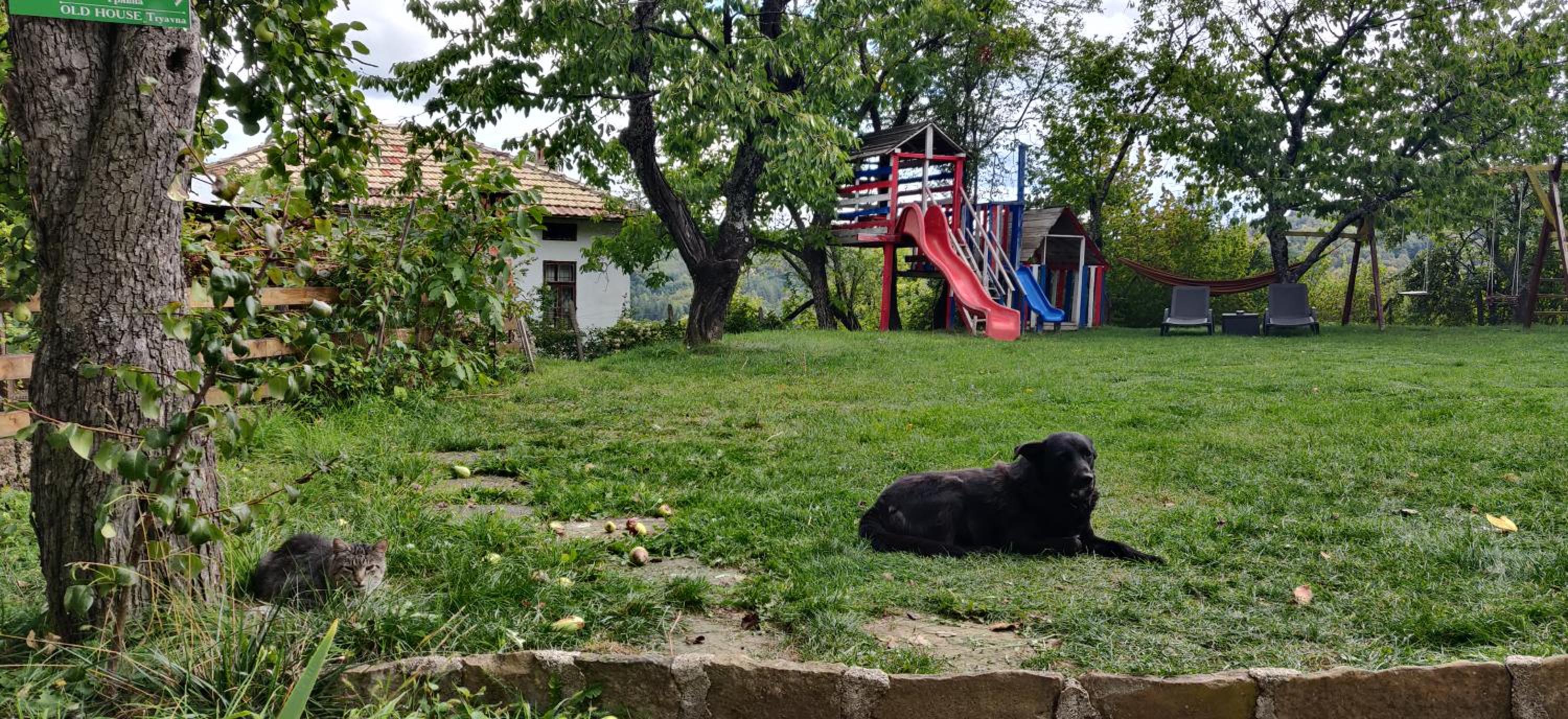 Villa - Photo 33