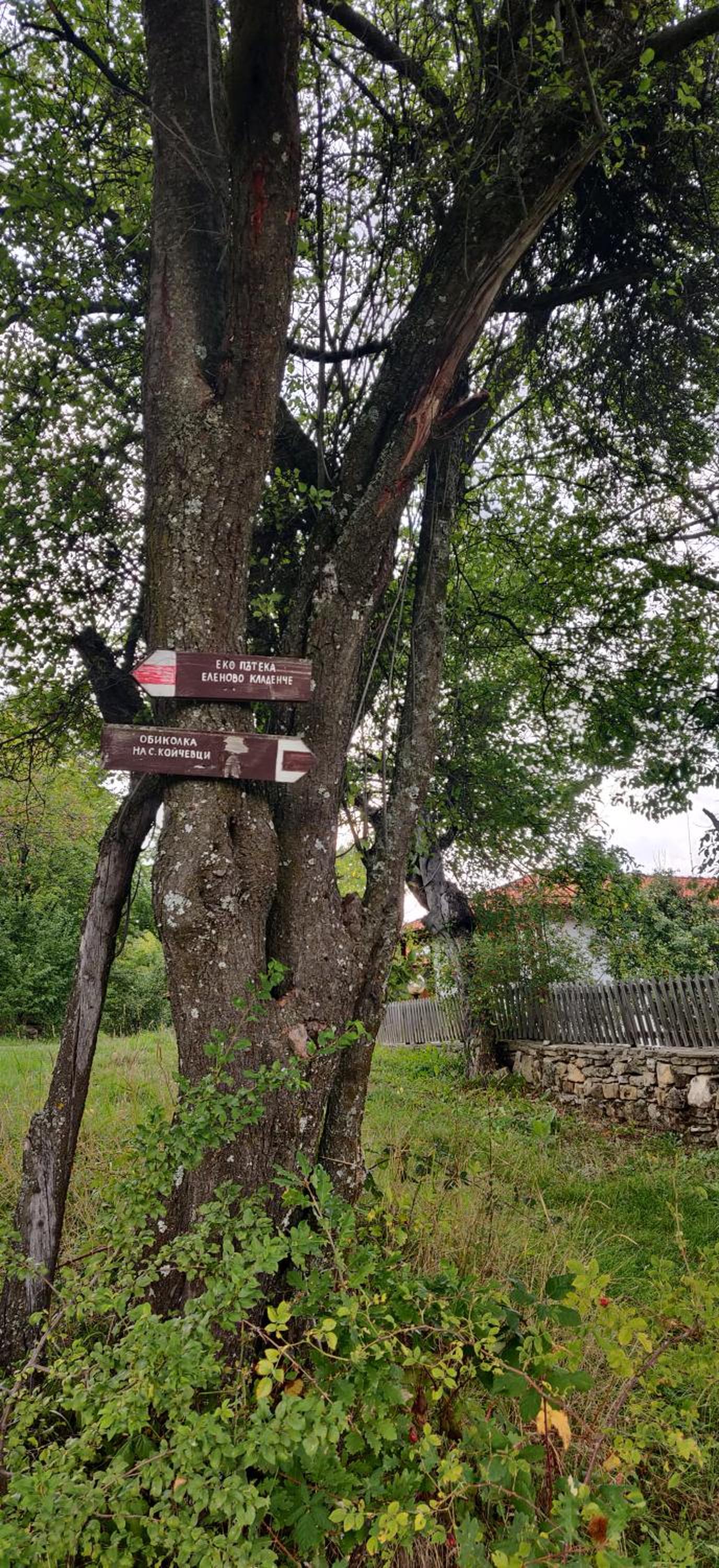 Villa - Photo 34