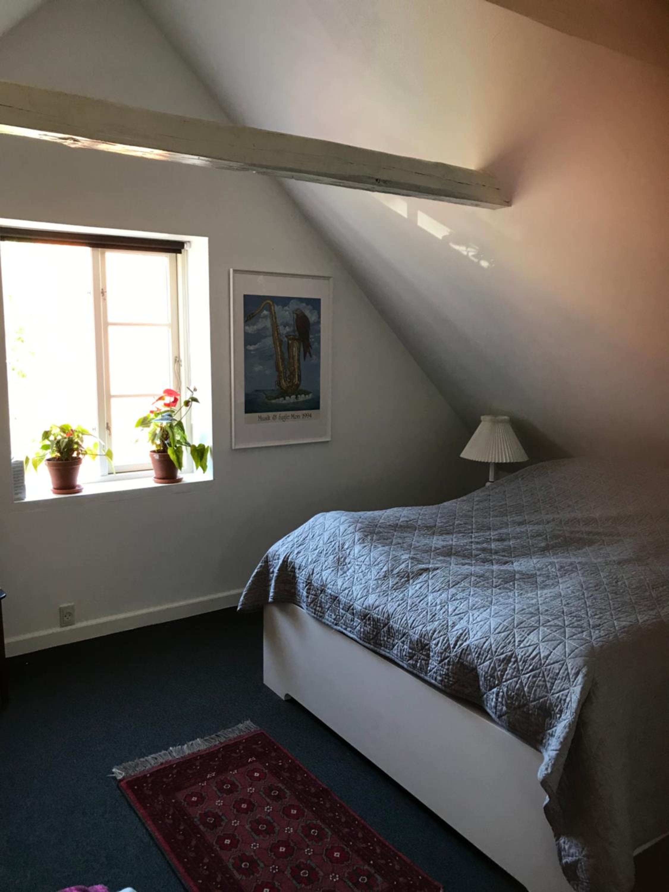 Two-Bedroom House photo 2