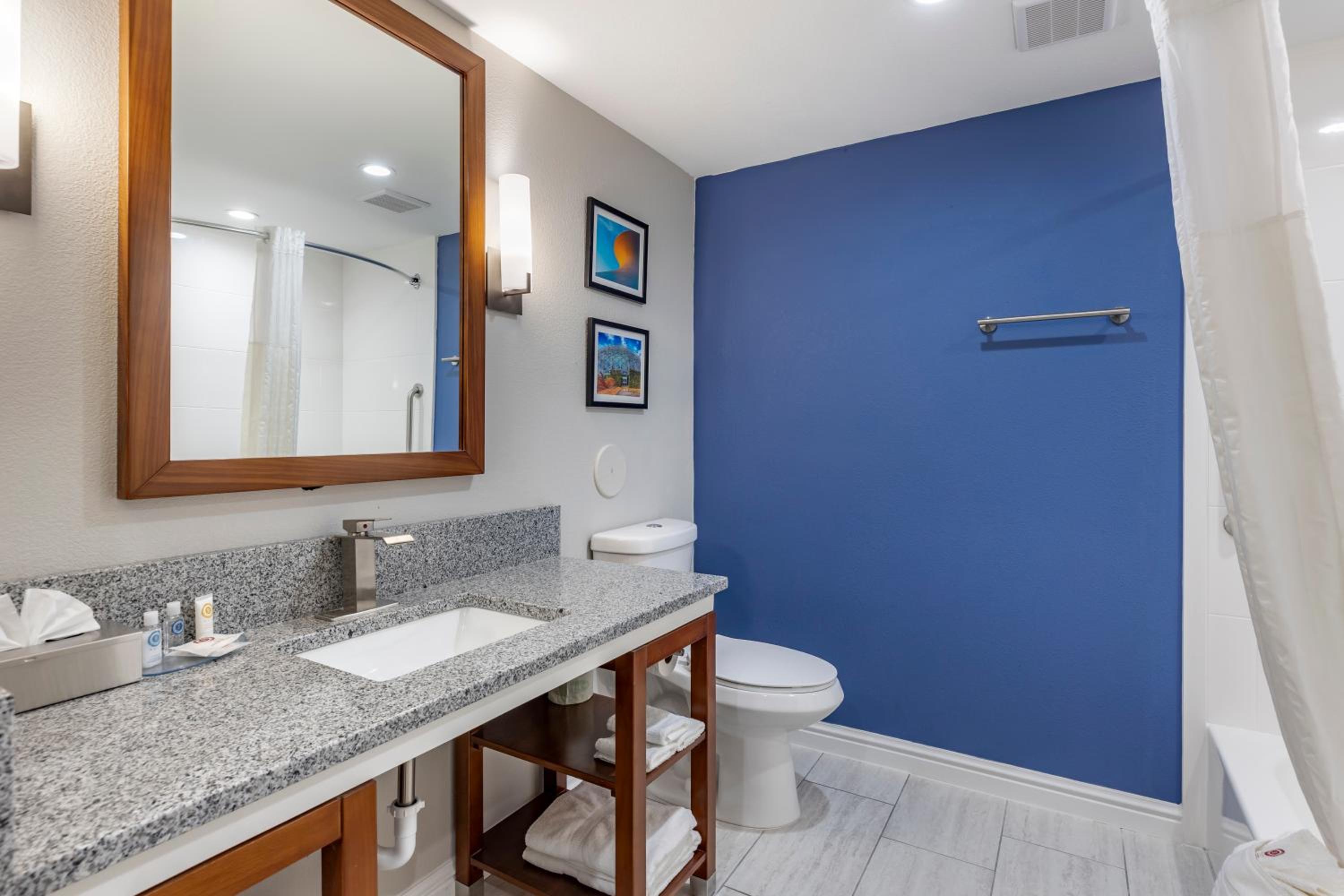 King Suite - Accessible/Non Smoking photo 2