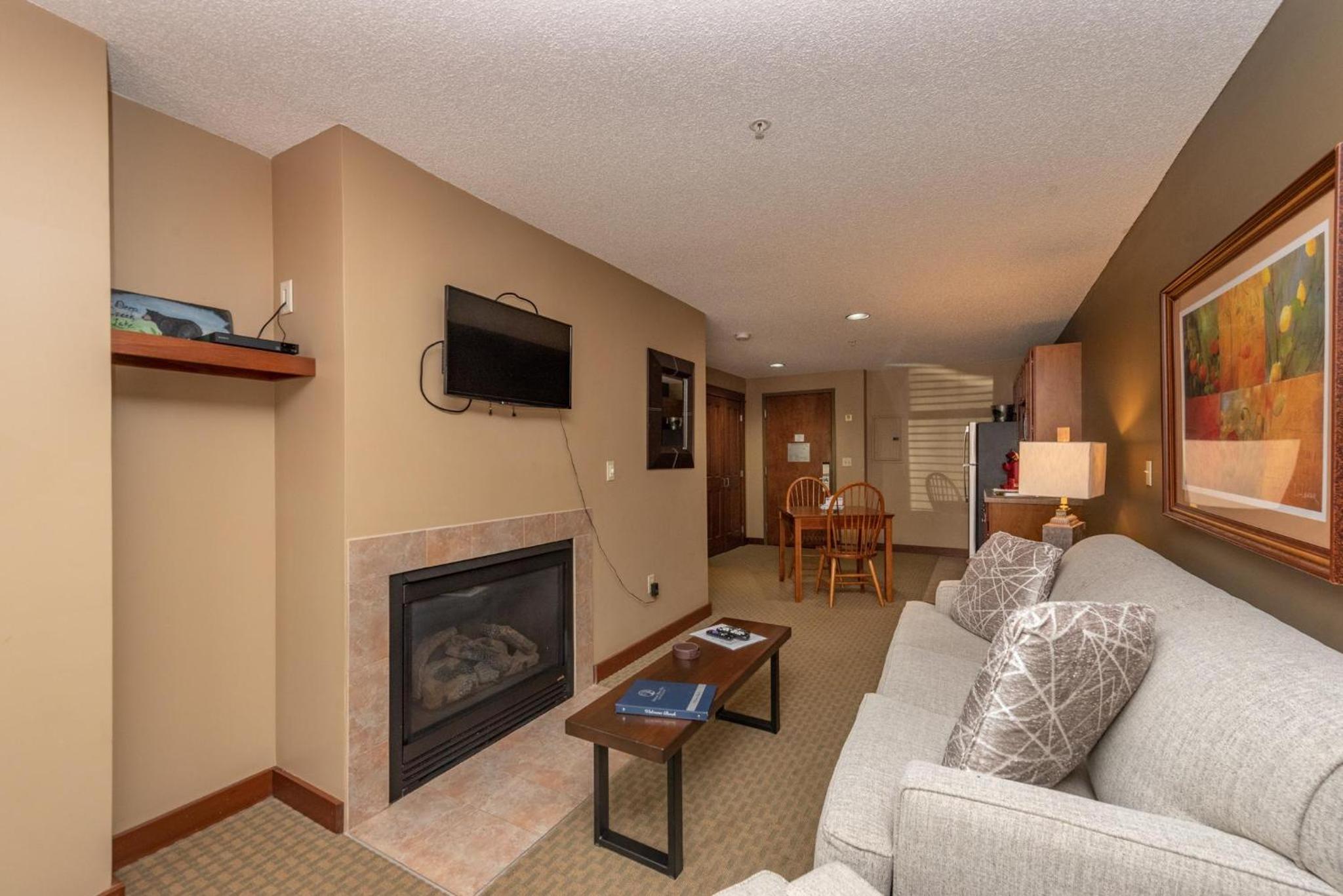 One-Bedroom Apartment photo 2