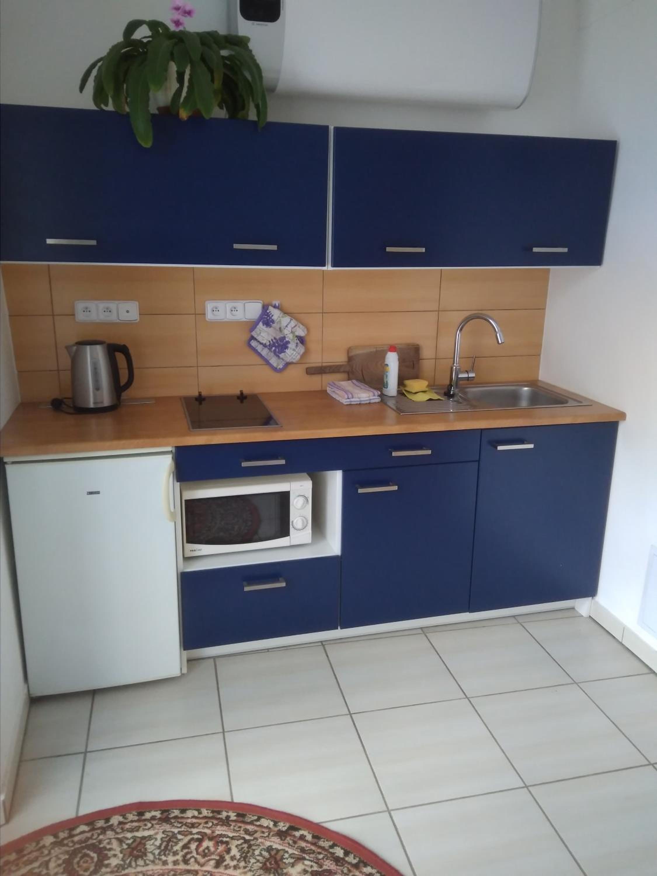 One-Bedroom Apartment (4 Adults) - Photo 5