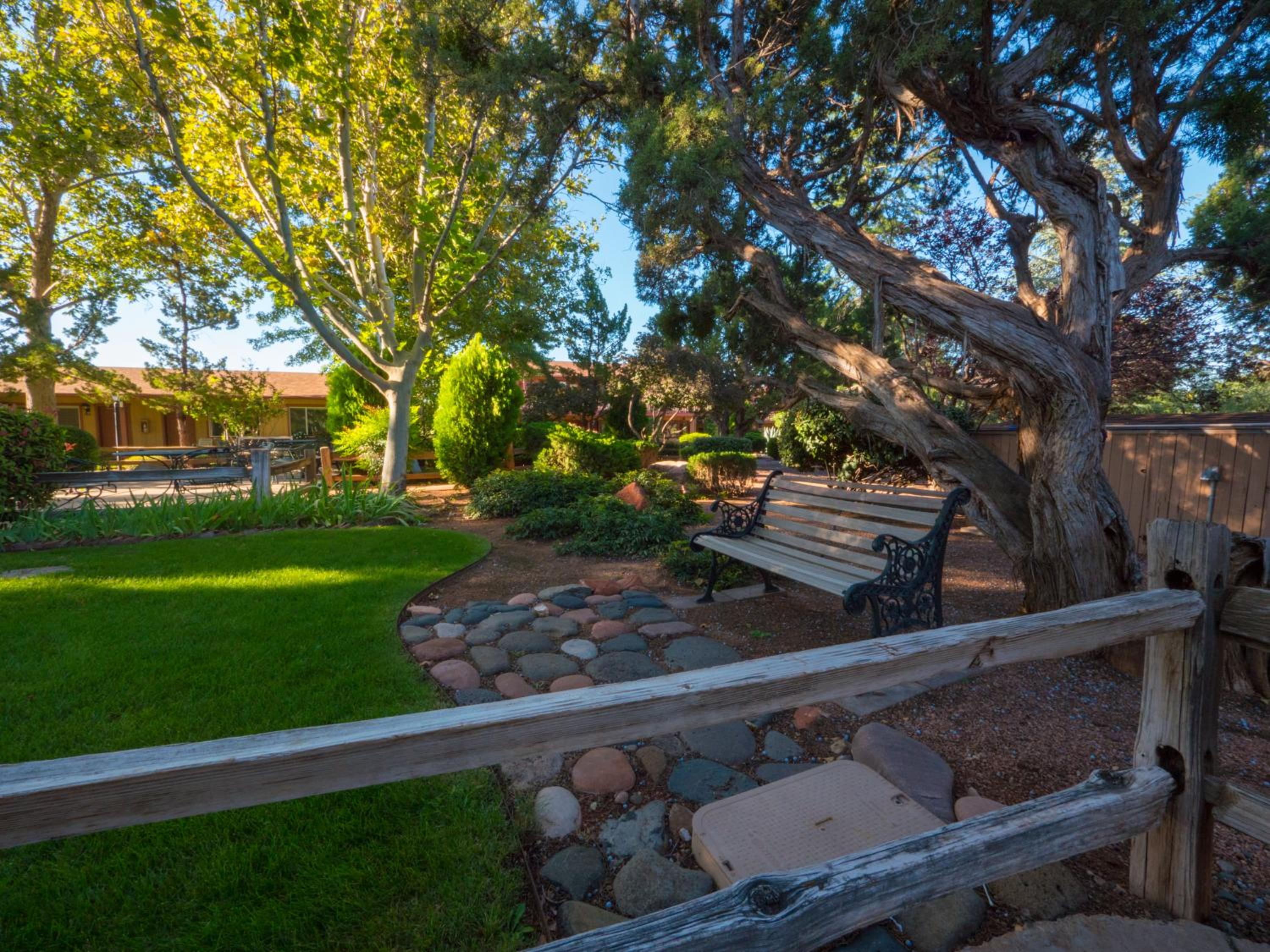 Traditional Garden King - Photo 4