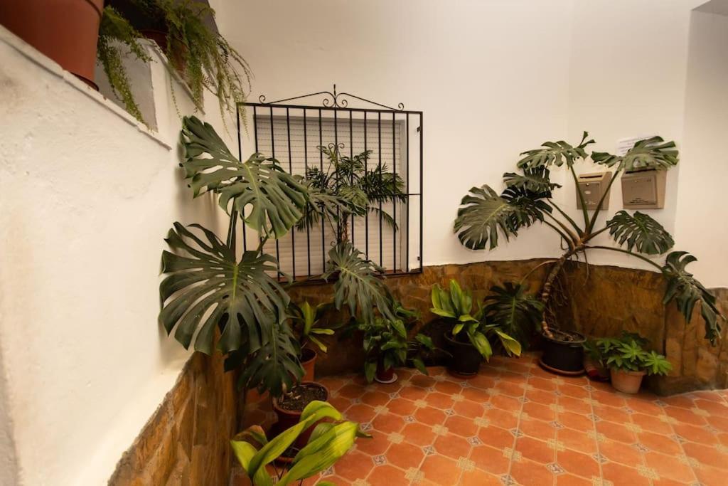 Three-Bedroom Apartment photo 3