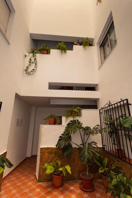 Three-Bedroom Apartment photo 2