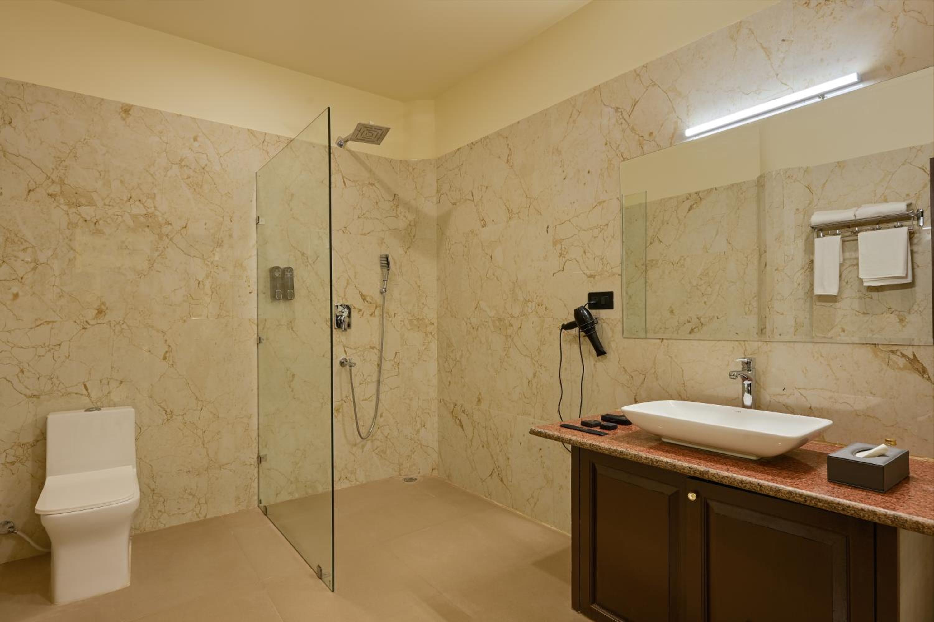 Suite: 15% off on Food, 10% off on Railway Station Transfer, 10 % off on Laundry - Photo 6