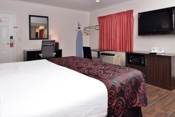 King Room photo 1