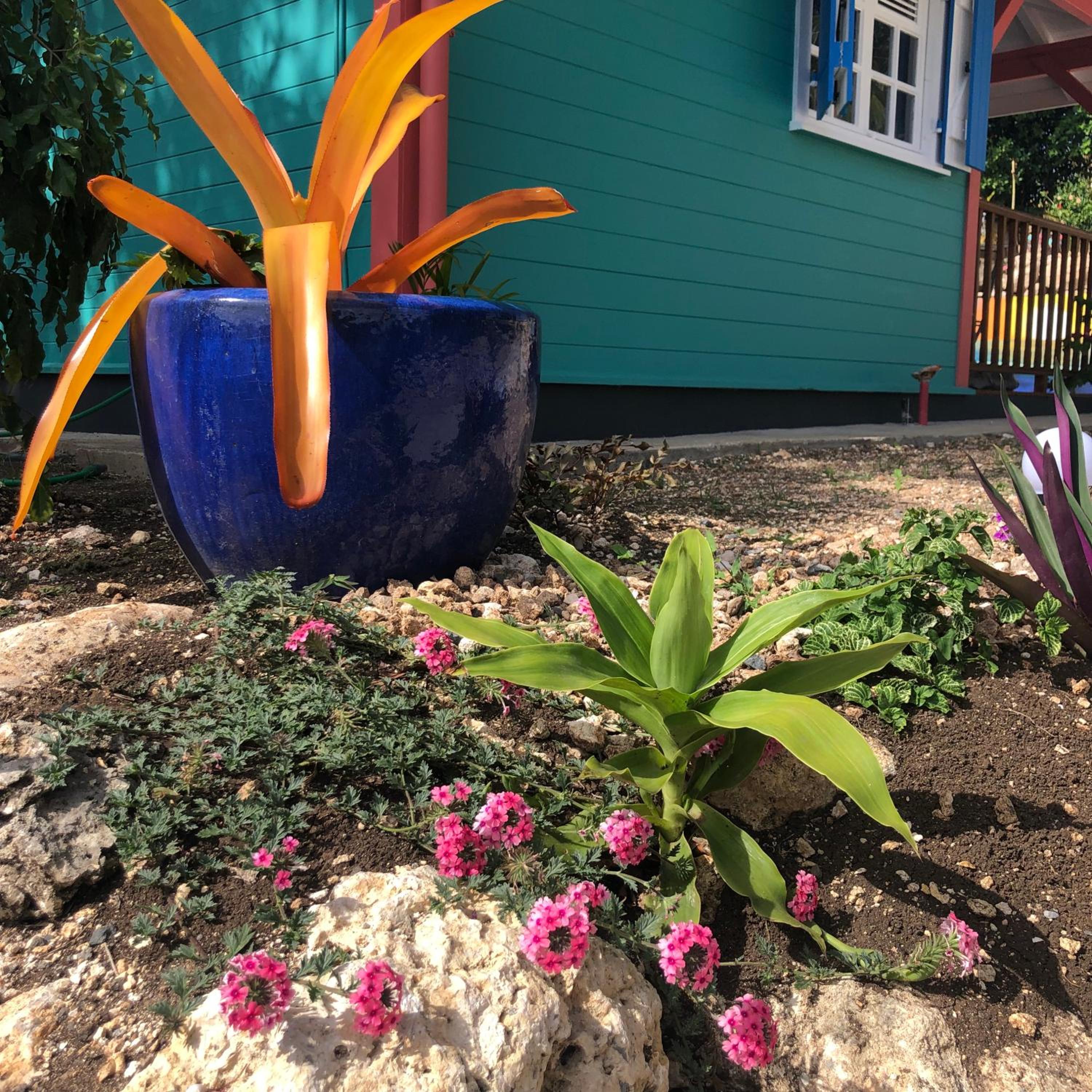 Bungalow - Photo 2