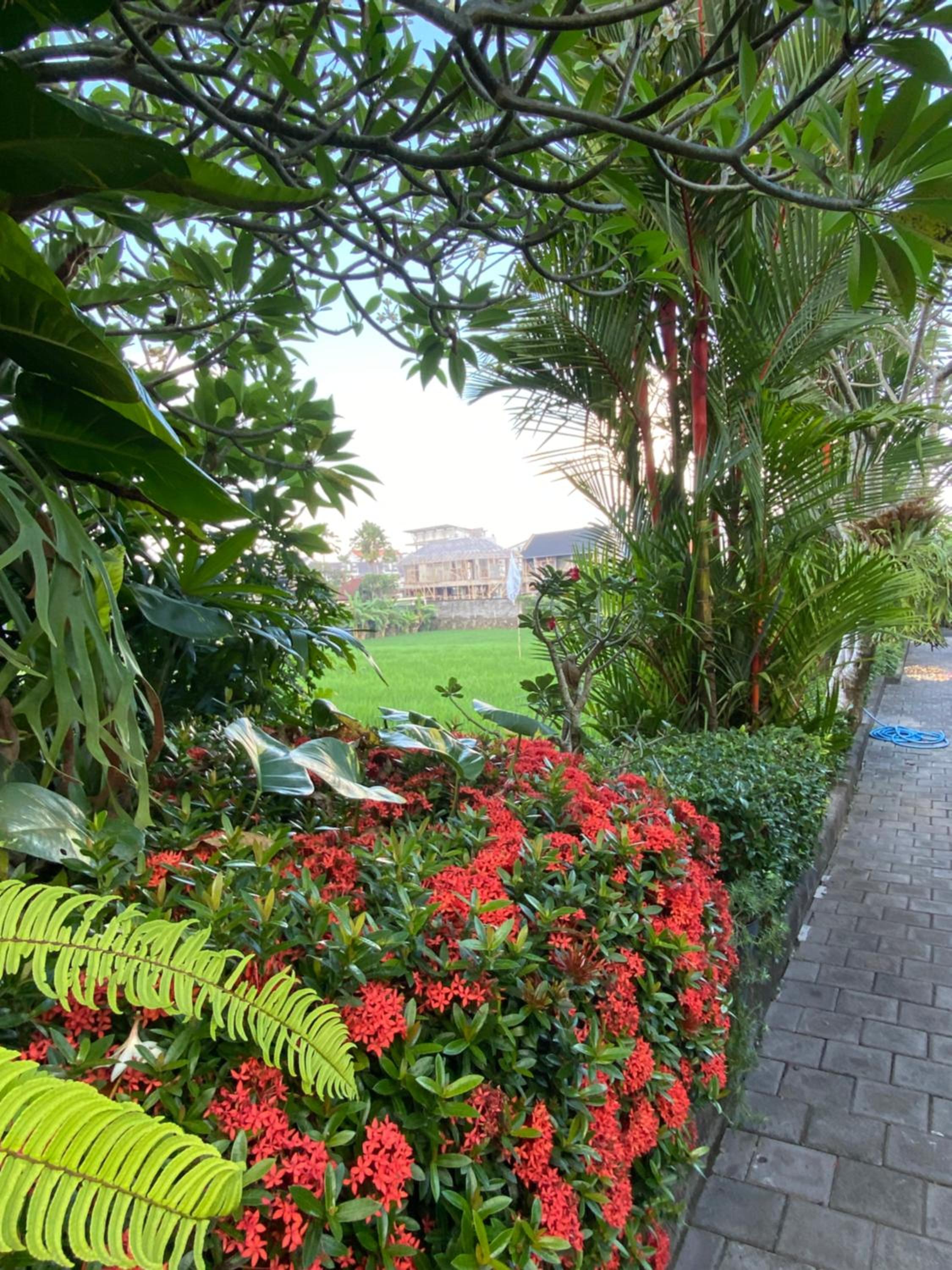 Double Room with Garden View photo 2