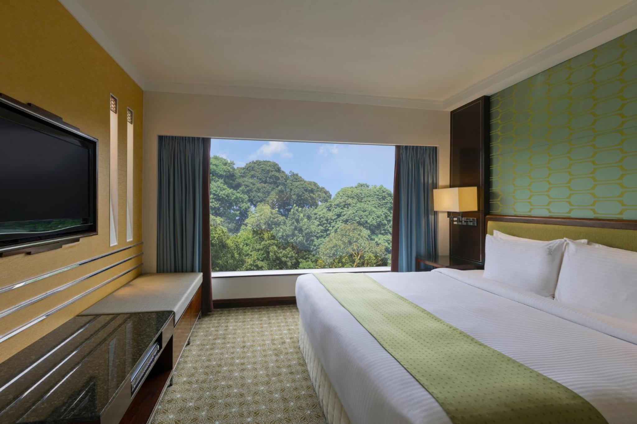 Standard King Room thumbnail 6