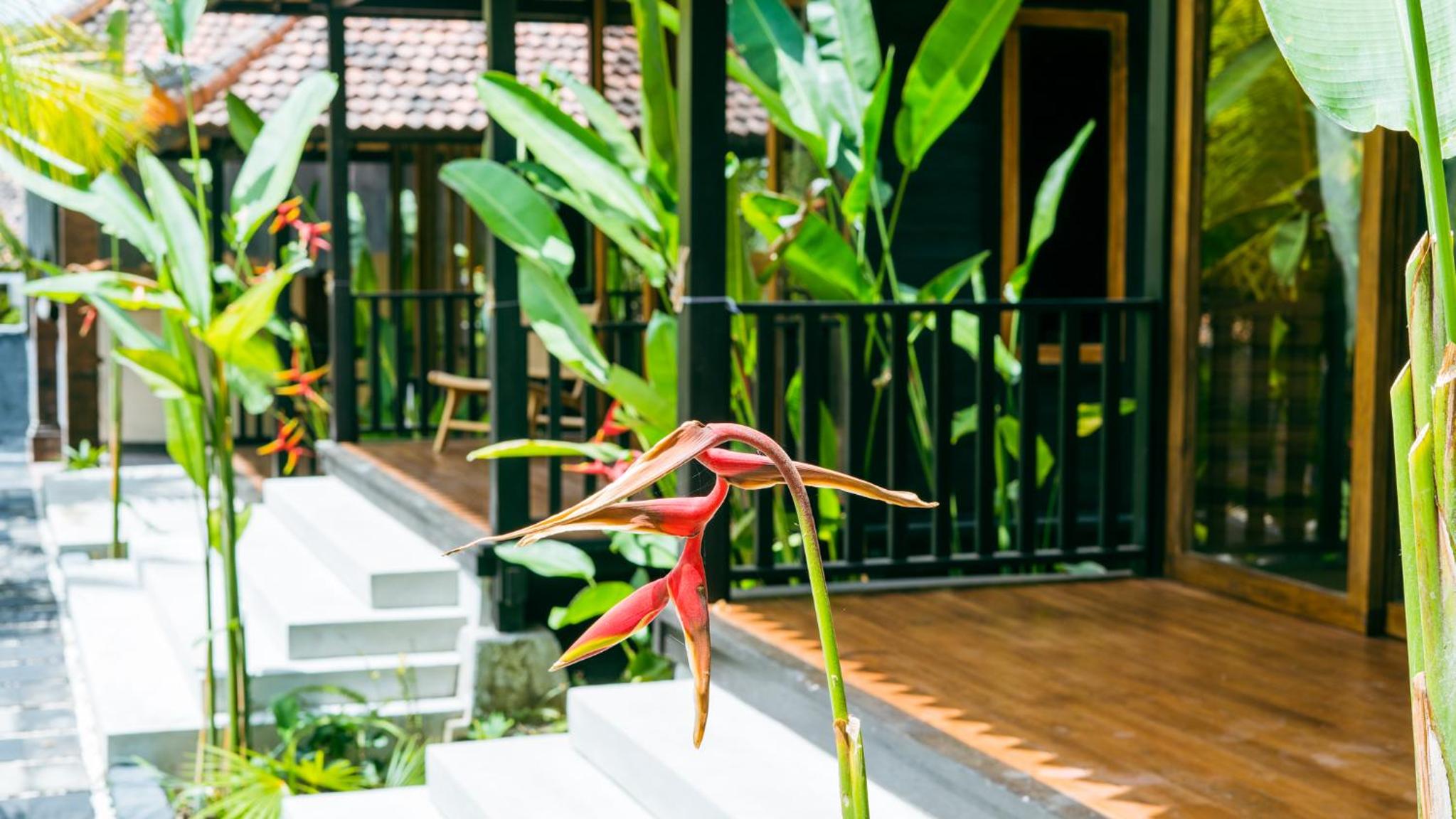Deluxe Bungalow - Photo 4