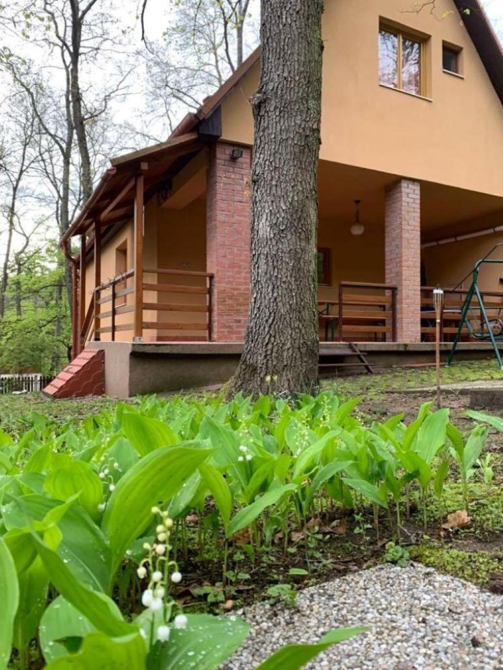 Three-Bedroom House - Photo 11