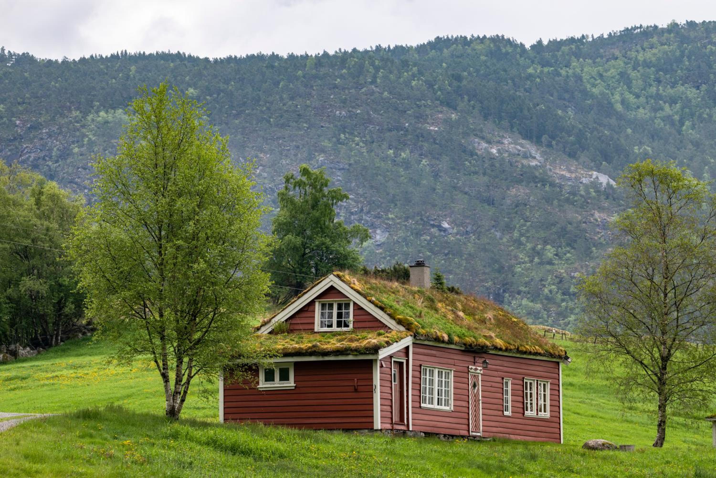 Vacation Home photo 3
