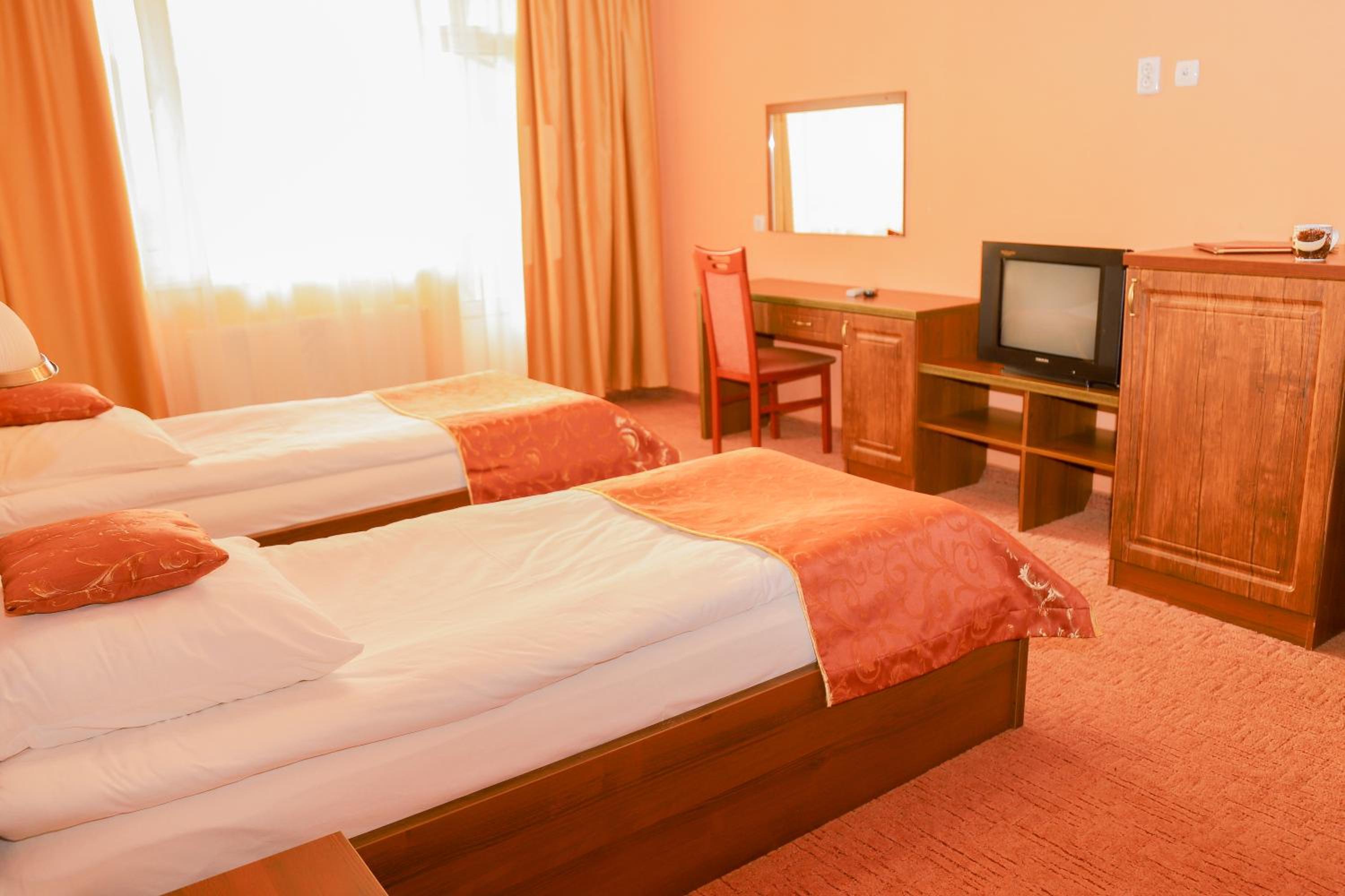 Standard Twin Room with Mountain View
