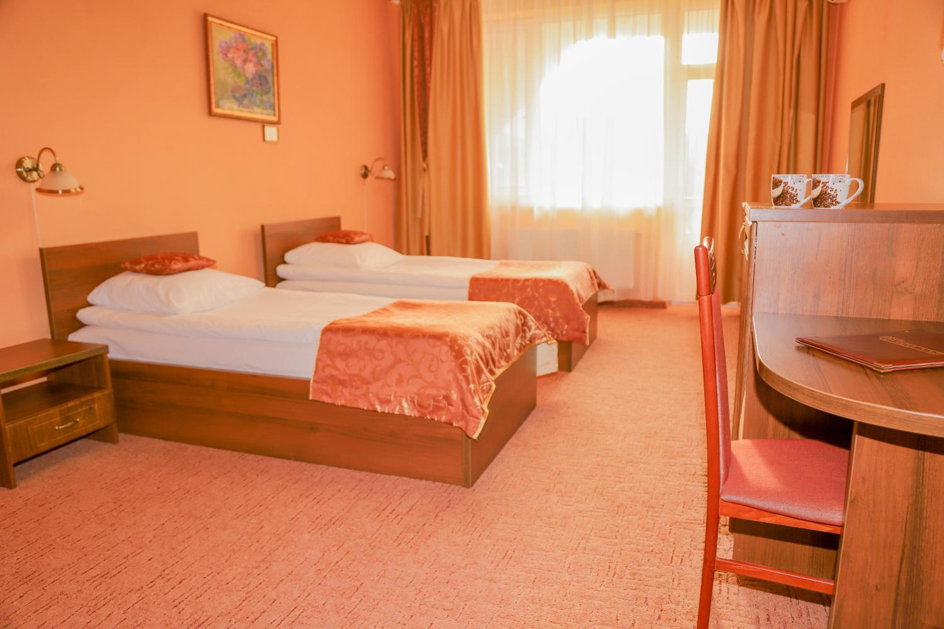 Standard Twin Room with Mountain View photo 3