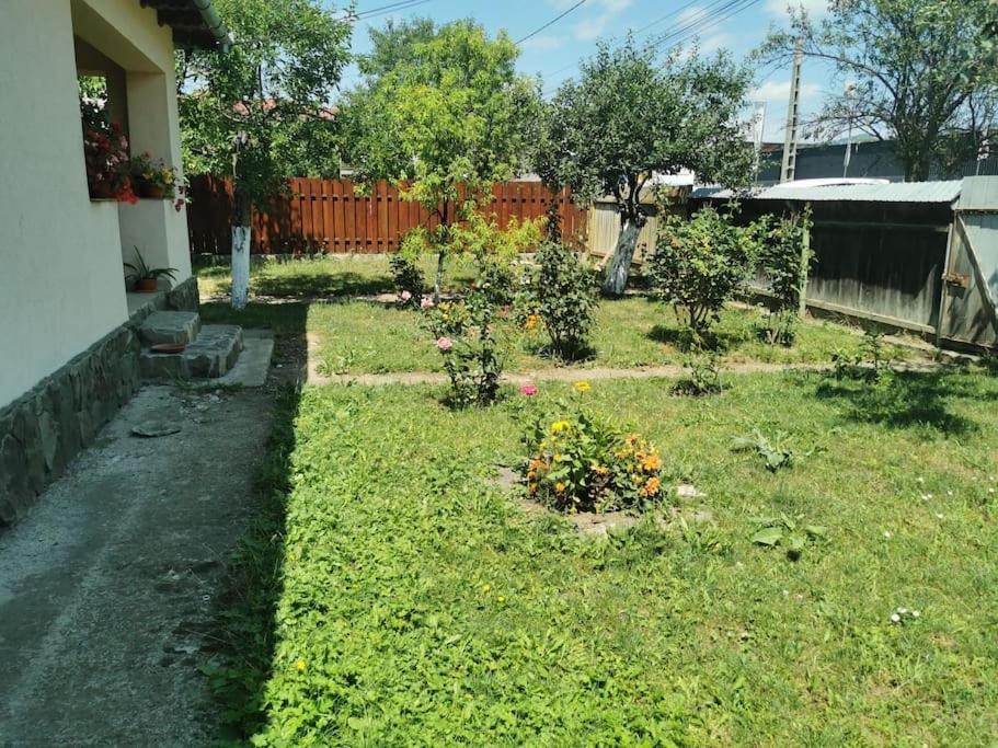 Two-Bedroom House - Photo 11