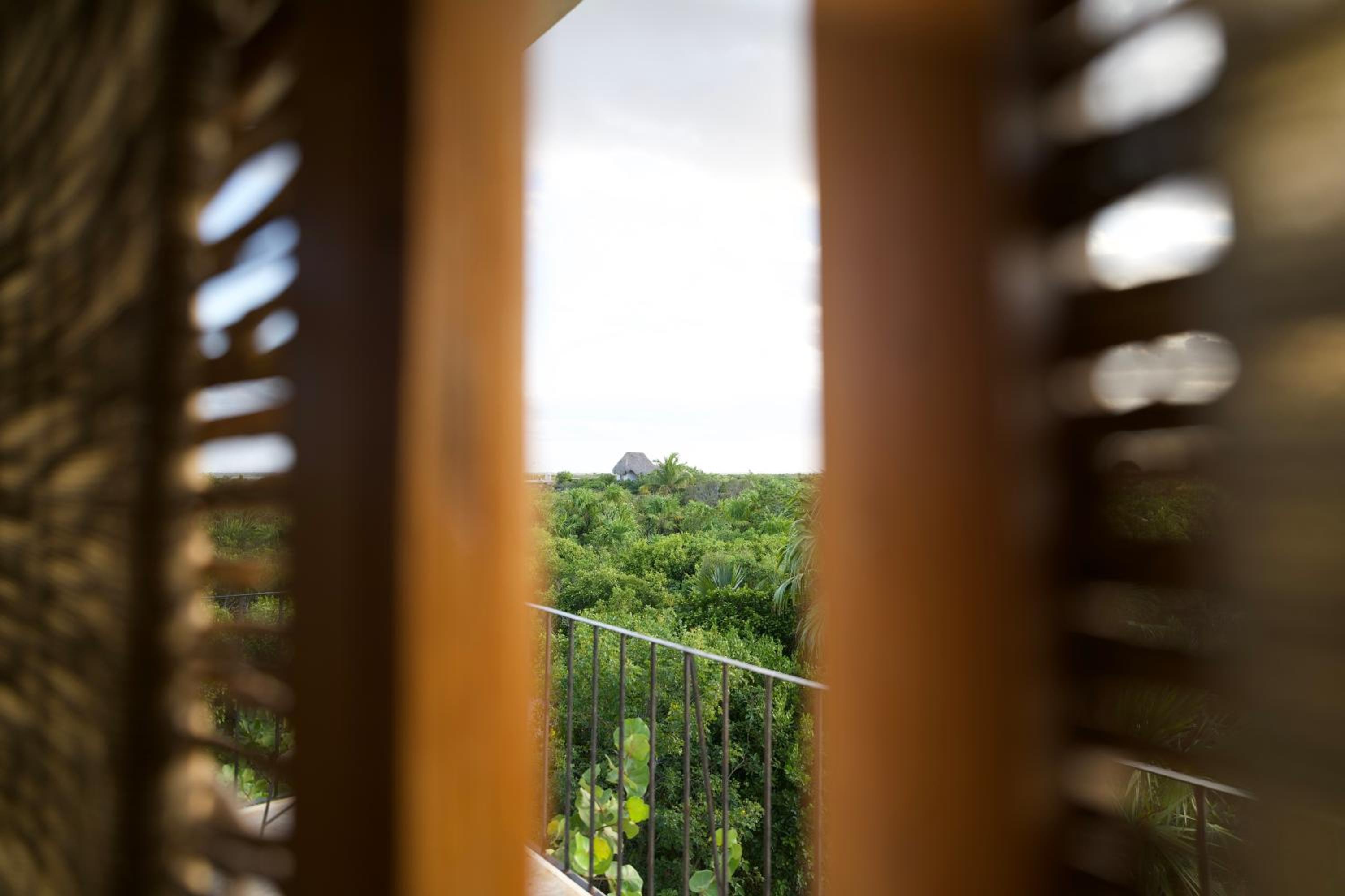Suite - Photo 15