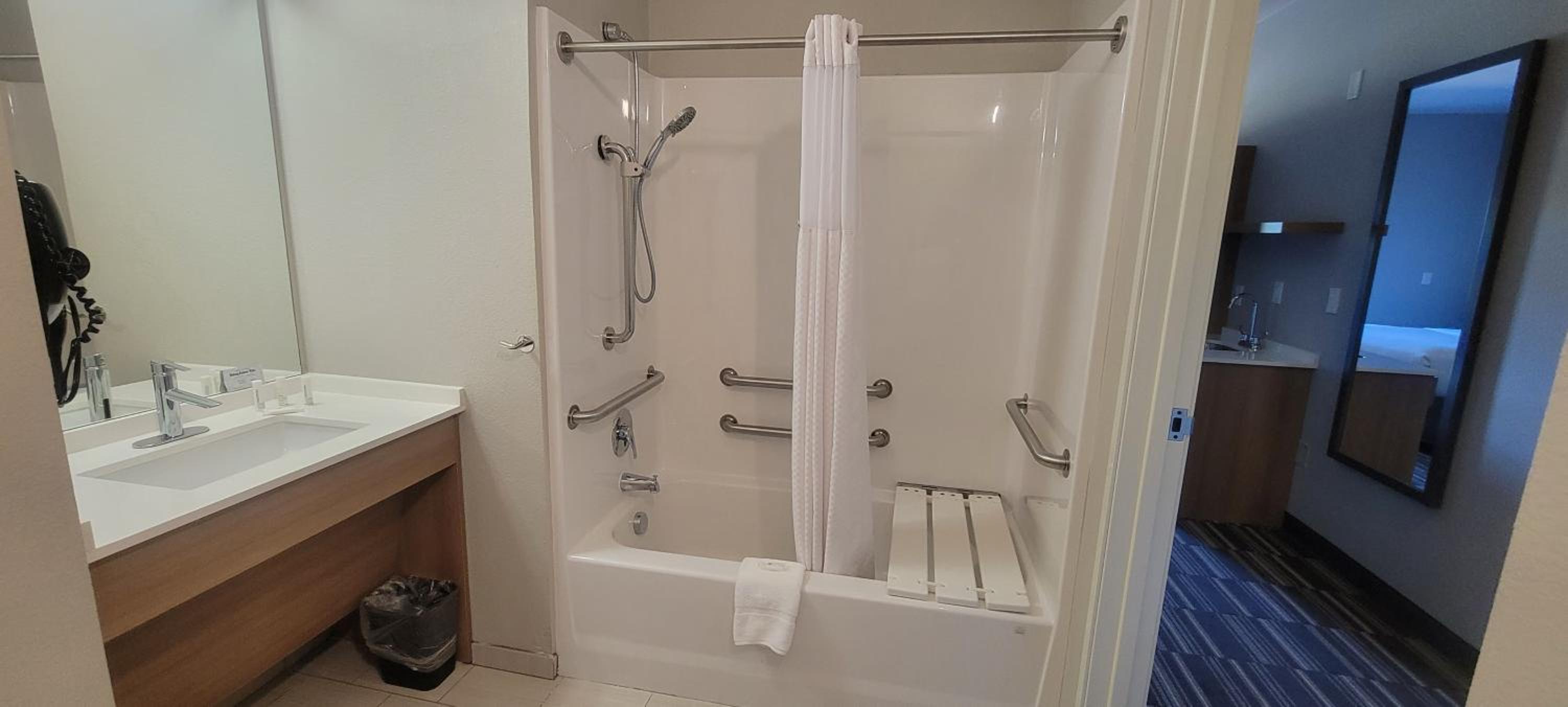 Queen Studio Suite - Mobility Access/Non-Smoking - Photo 3