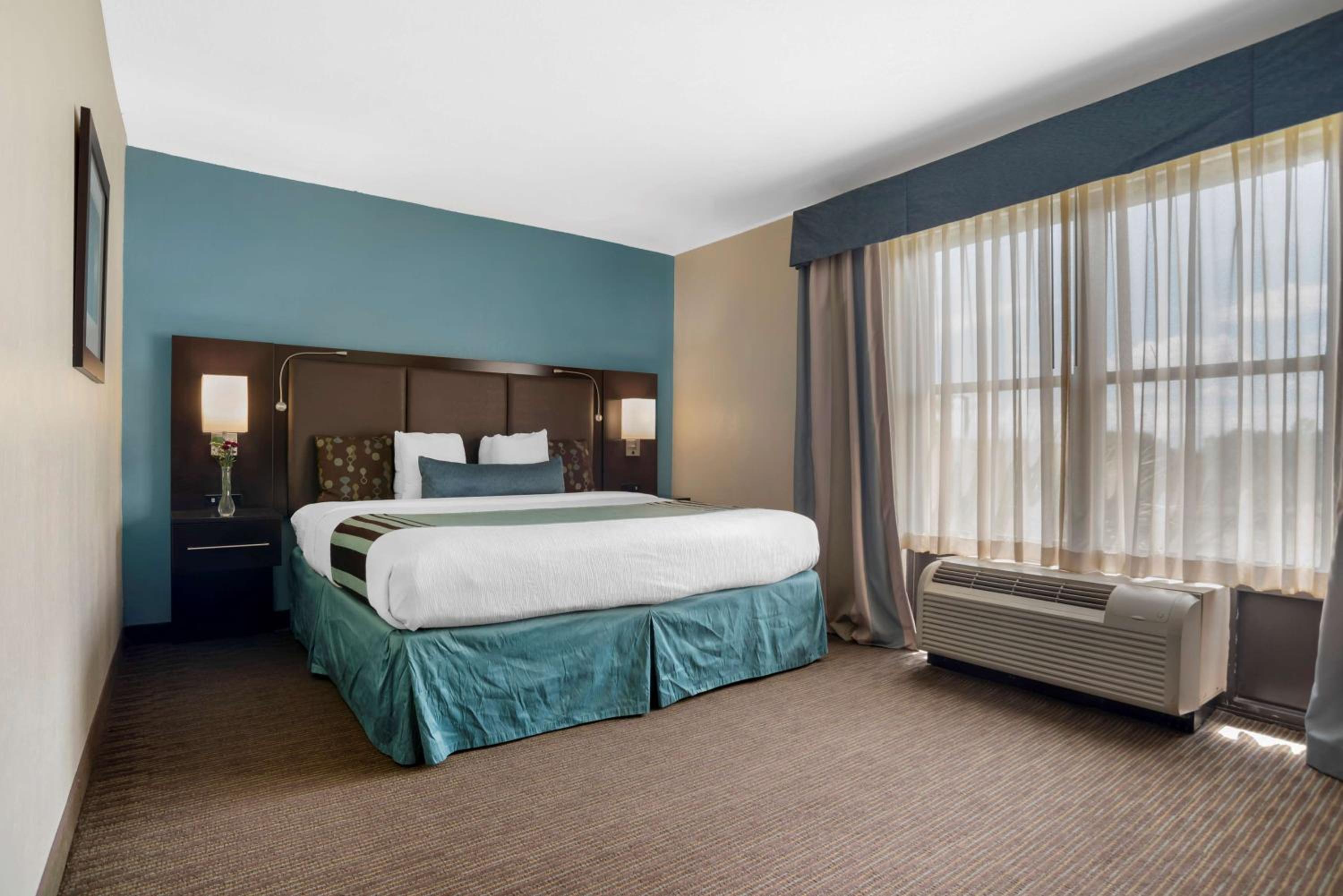 King Suite with Sofa Bed - Photo 1