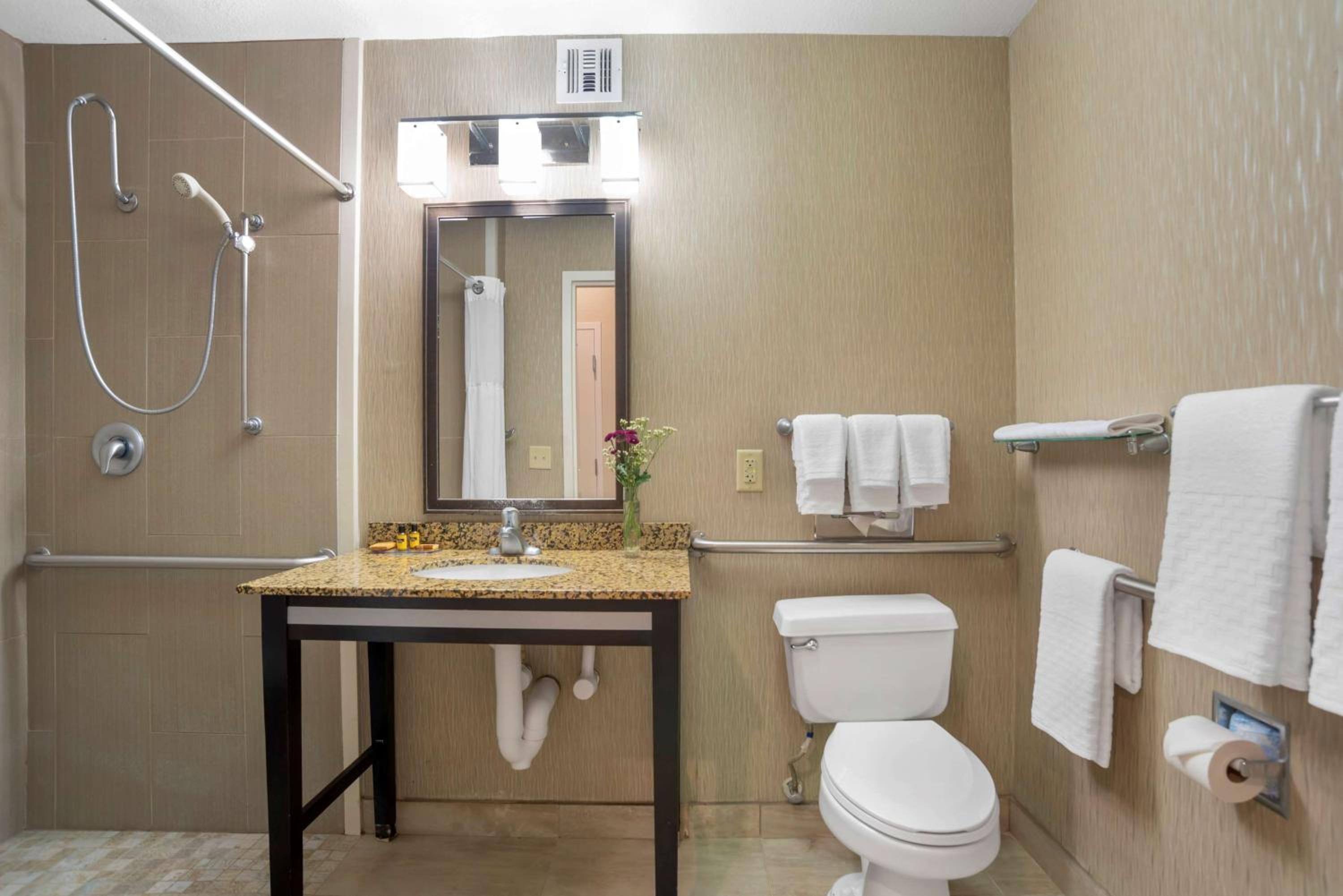 King Room with Roll-In Shower - Mobility Access - Photo 3