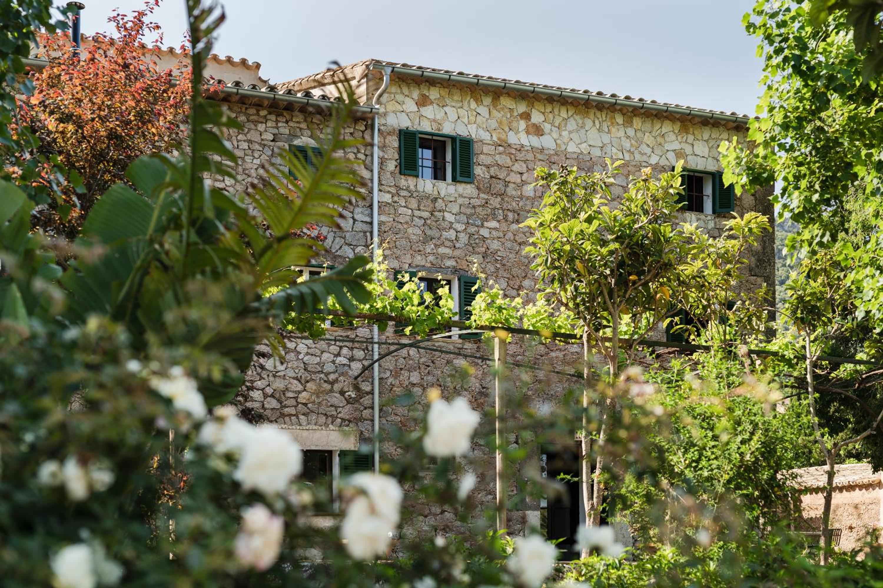 Villa photo 3