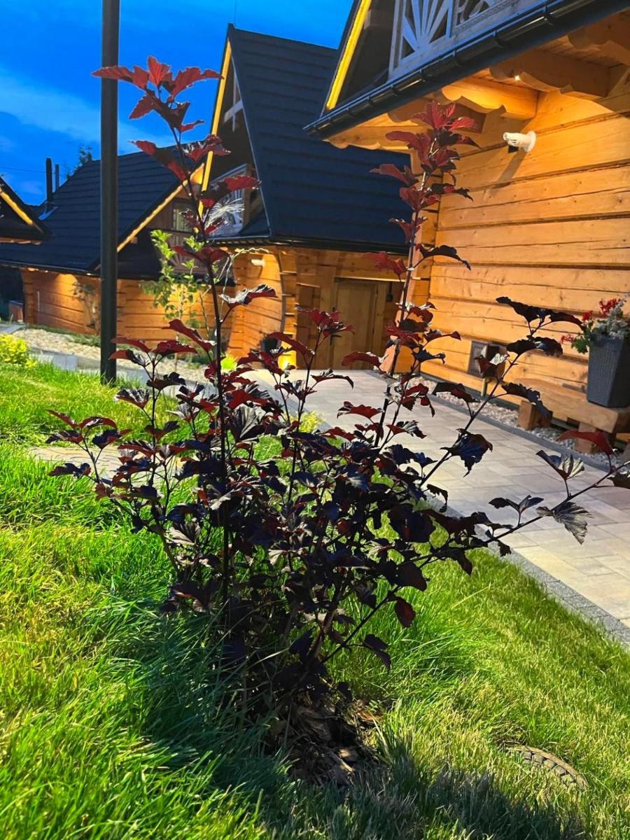 Chalet - Photo 4