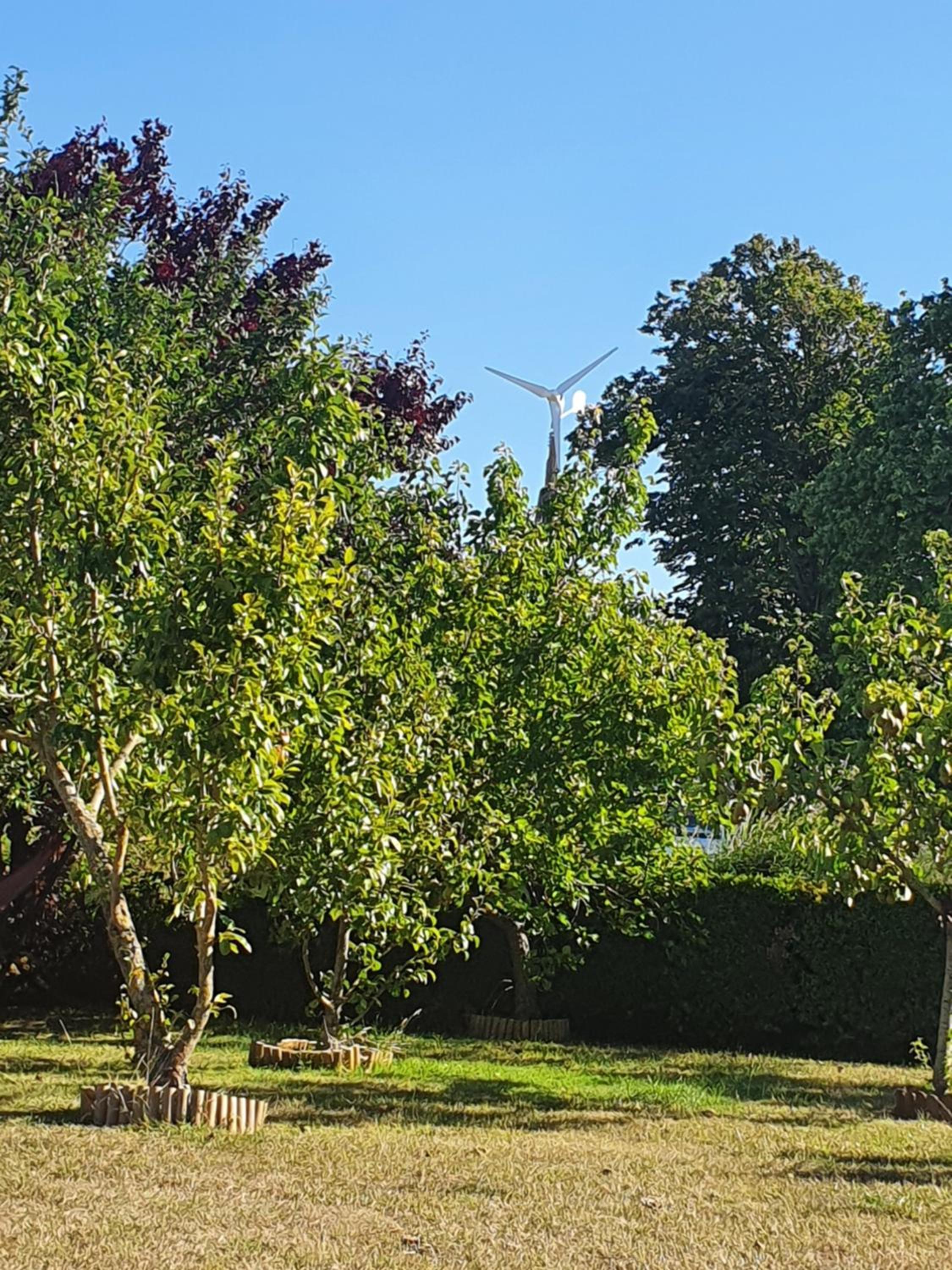 Double Room with Garden View photo 3